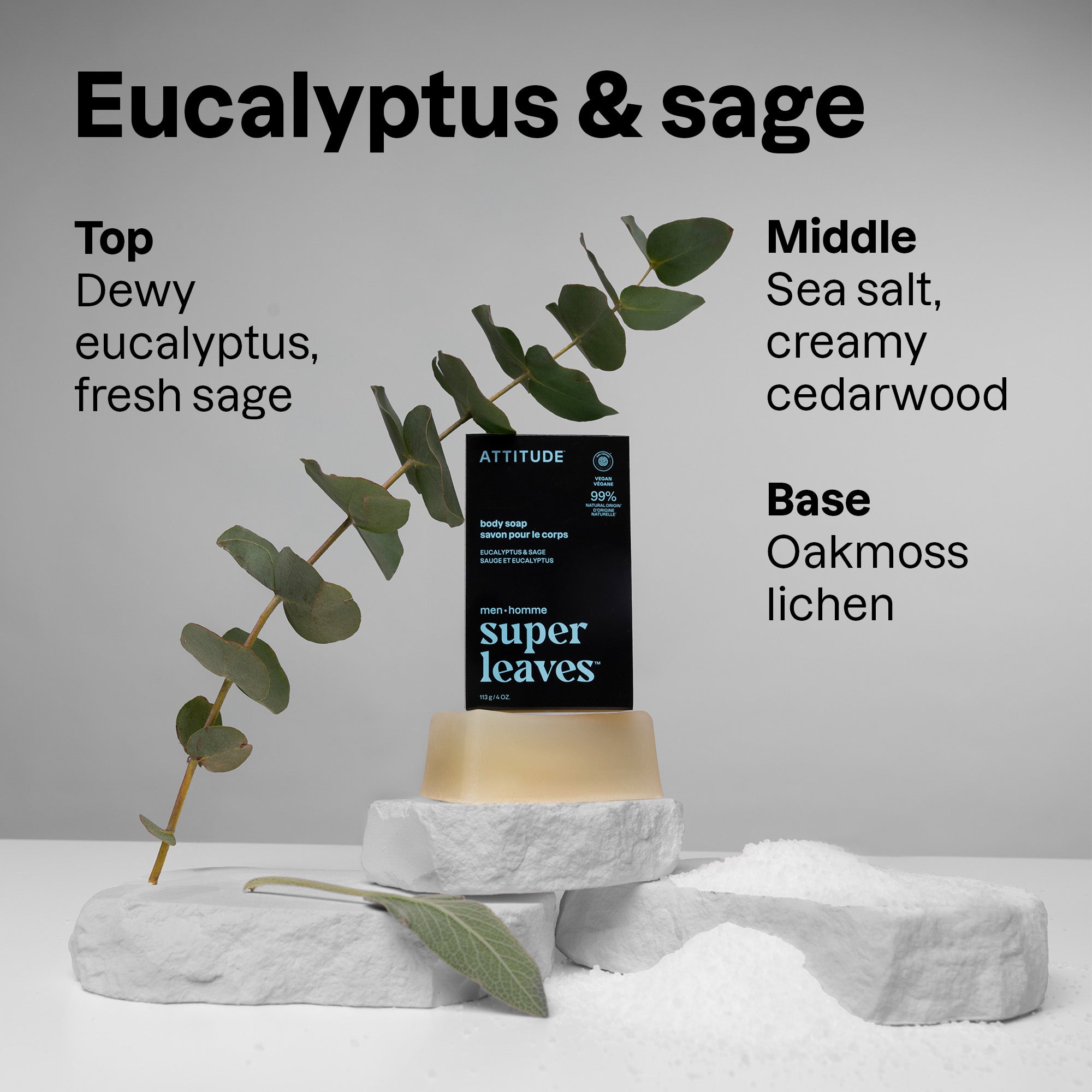 02-fragrance-eucalyptus.jpg