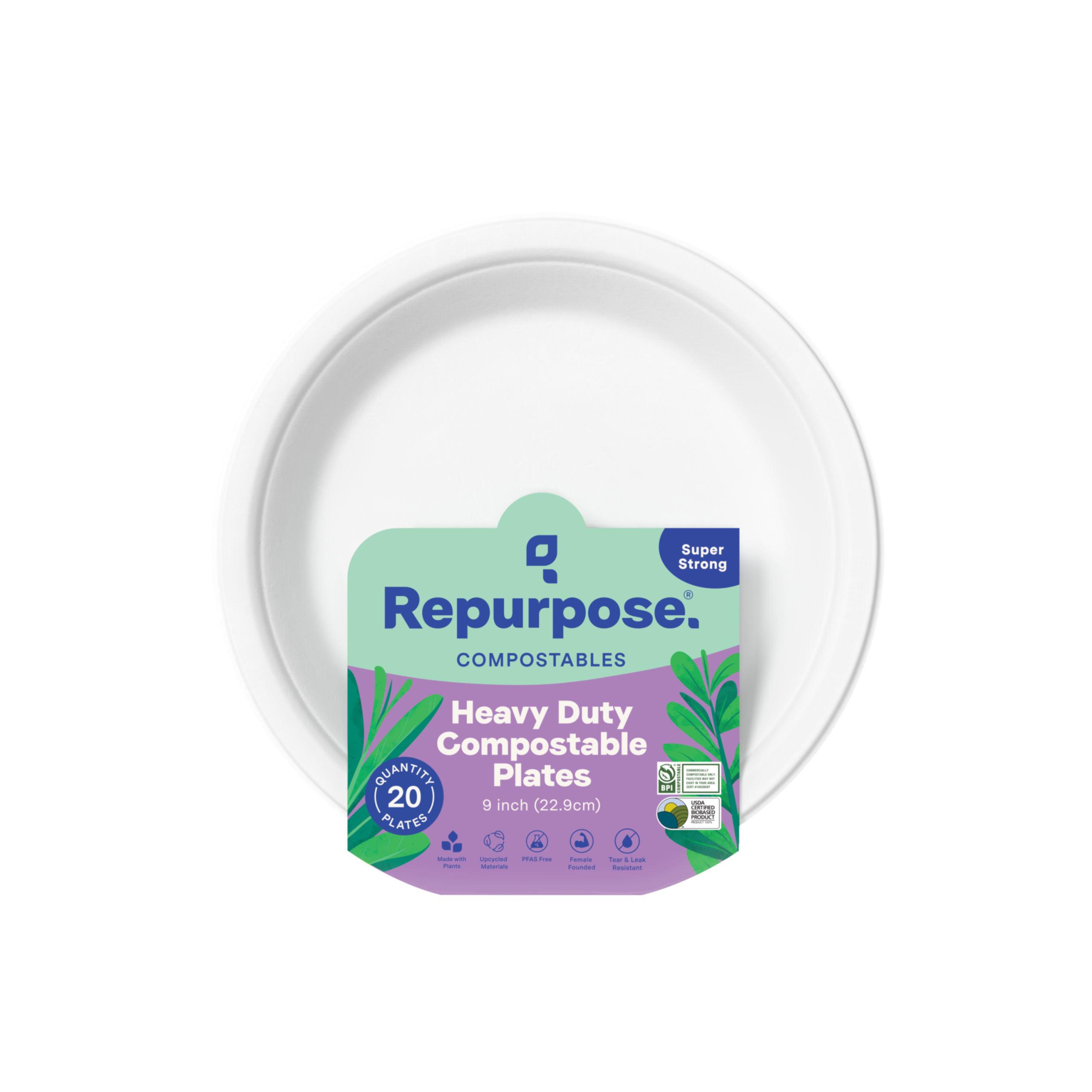 9inchPlate-20ct-HQ_Transparent.png