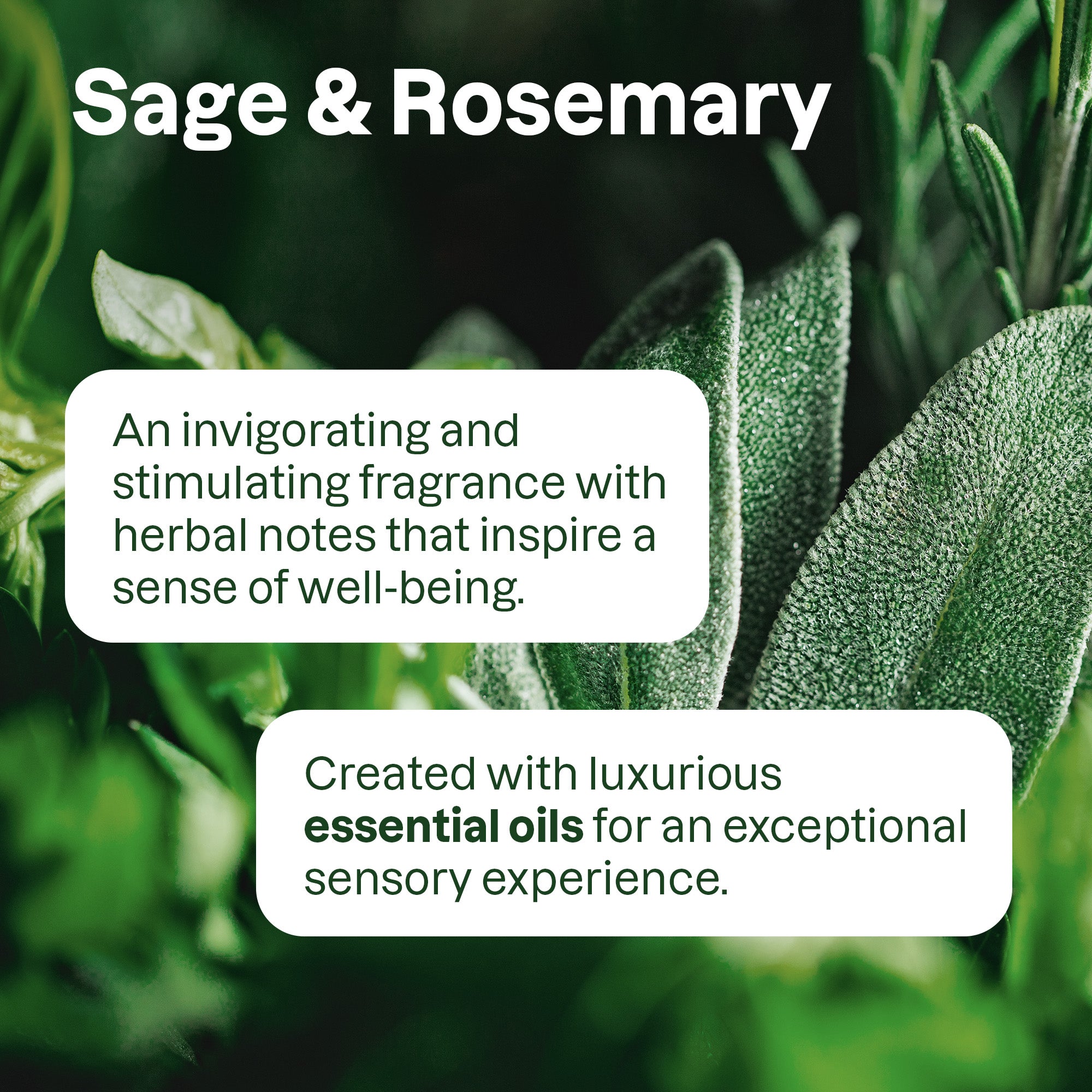ALU_Fragrance_Peppermint-4.jpg