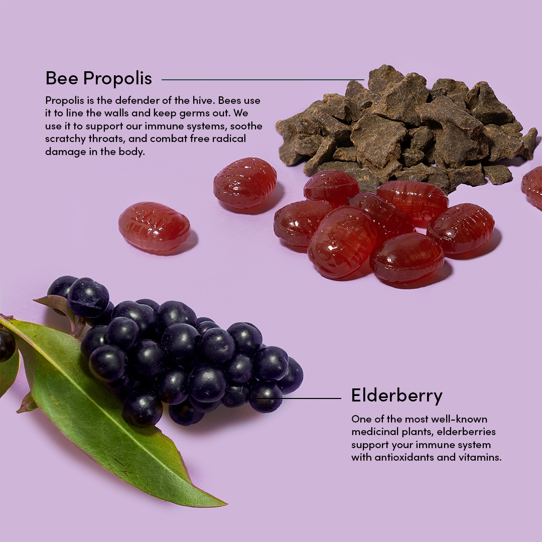 Beekeepersnaturals_ElderberryLoz_Ingredients.png