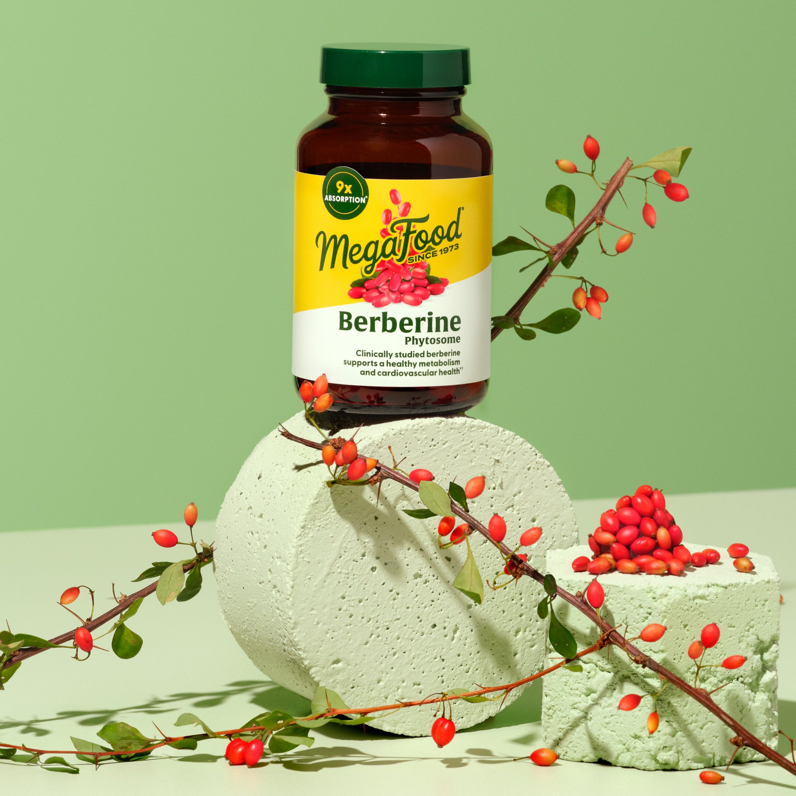 Berberine-Lifestyle-Image-3000x3000-c7bd0e9b-46c5-4d34-8c73-c17b86b93637.jpg
