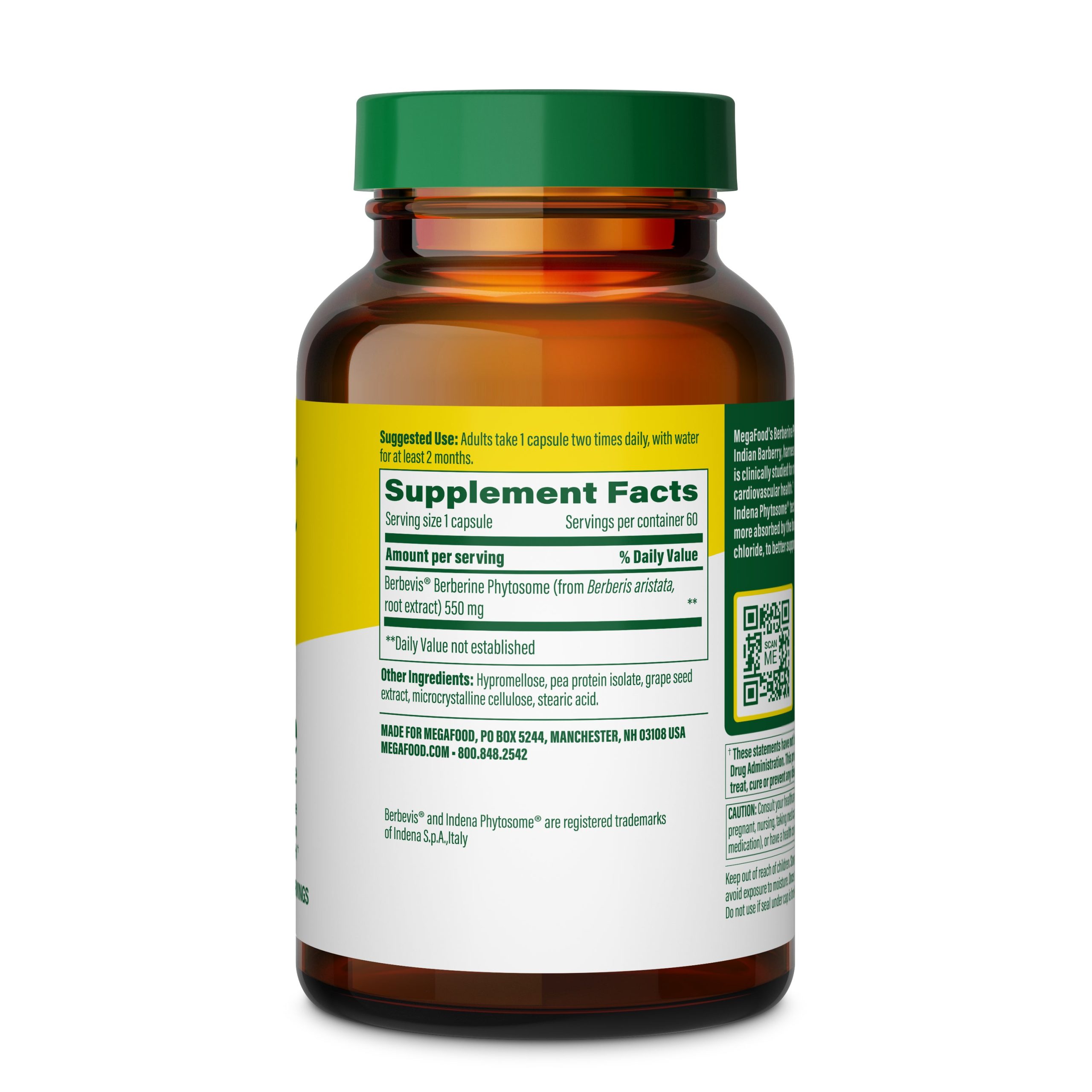 Berberine_Phytosome_60ct_Back-3000x3000-05a5b20c-af6f-416d-bcaf-34c81e2b89ab.jpg
