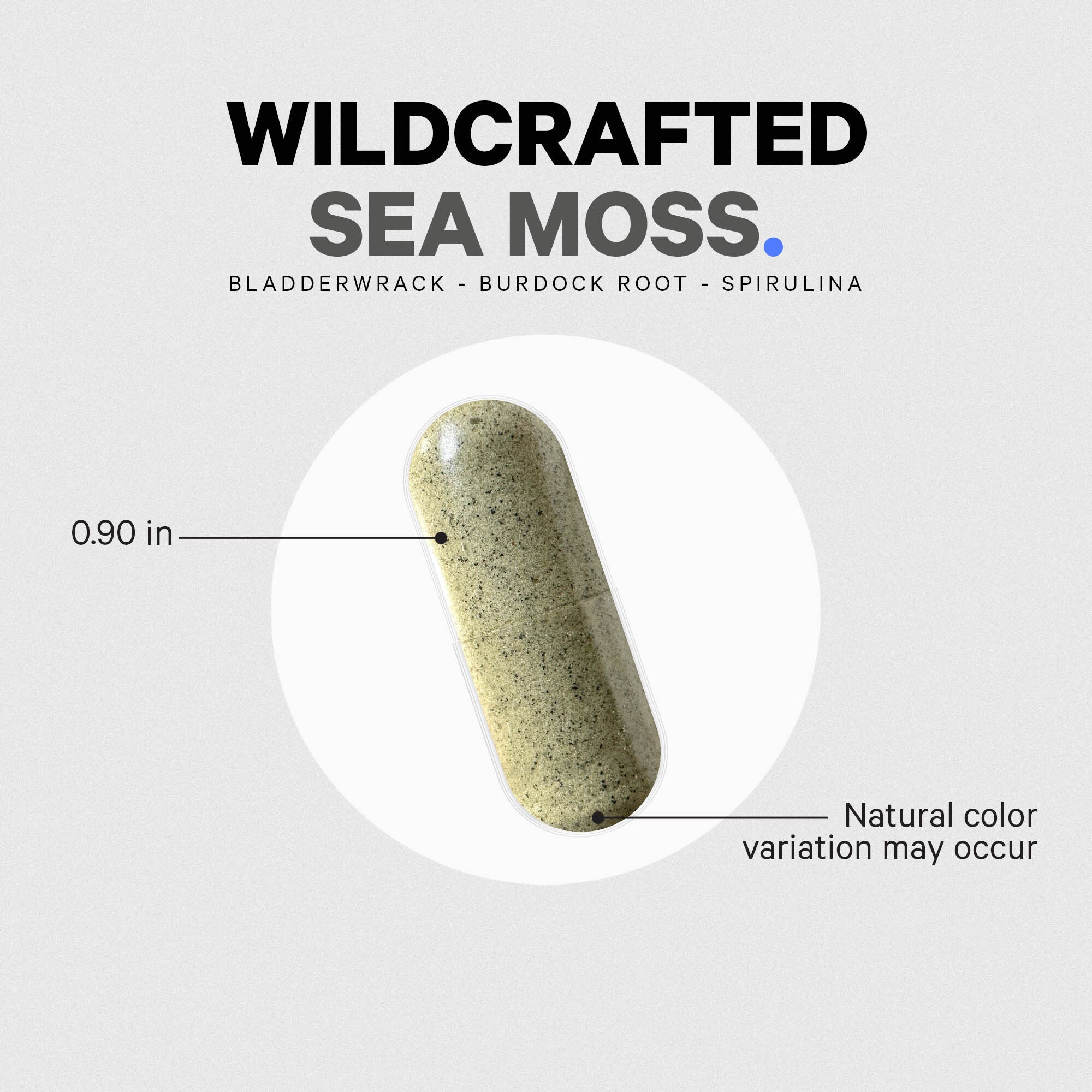 Codeage_WildcraftedSeaMoss_capsule.jpg
