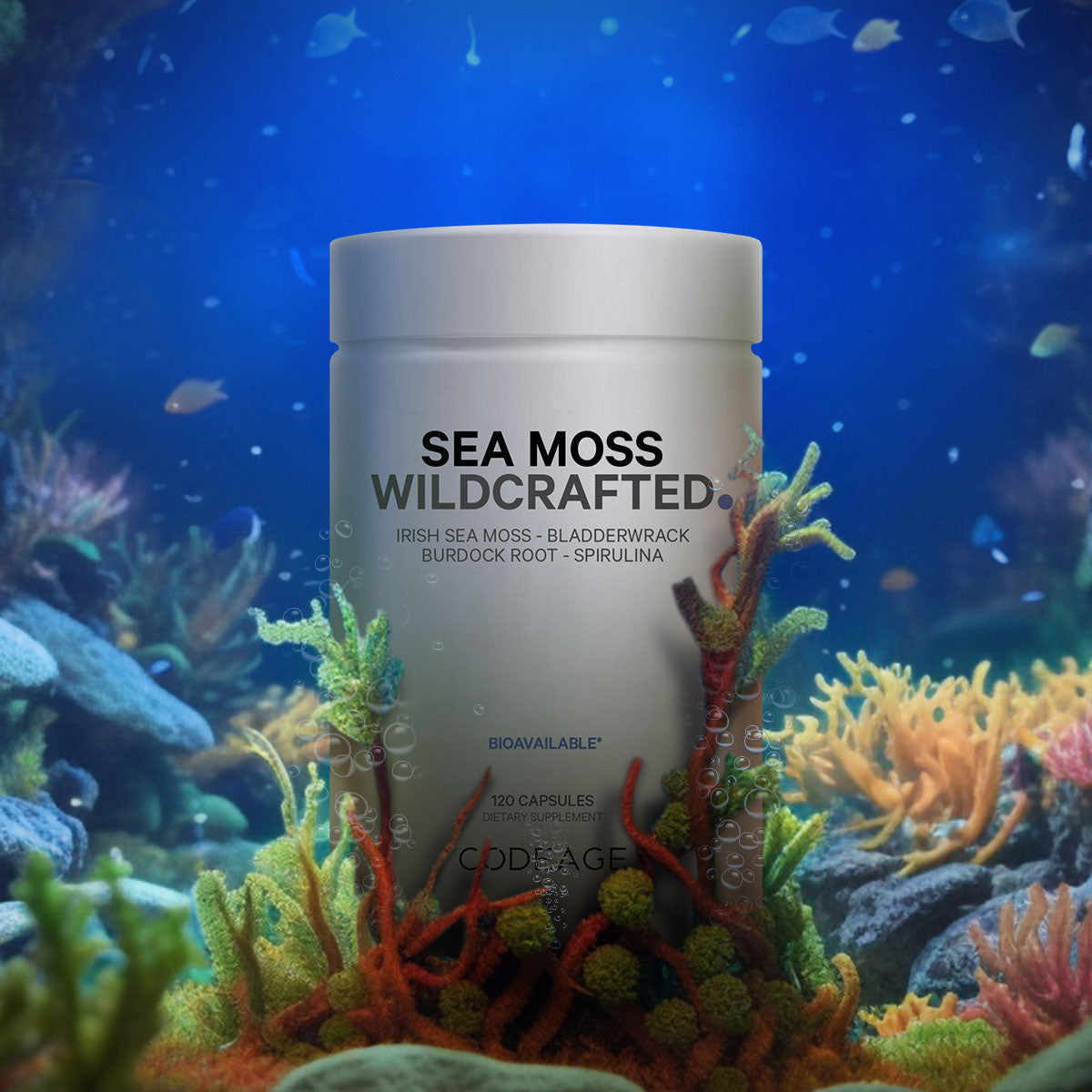 Codeage_WildcraftedSeaMoss_content2.jpg
