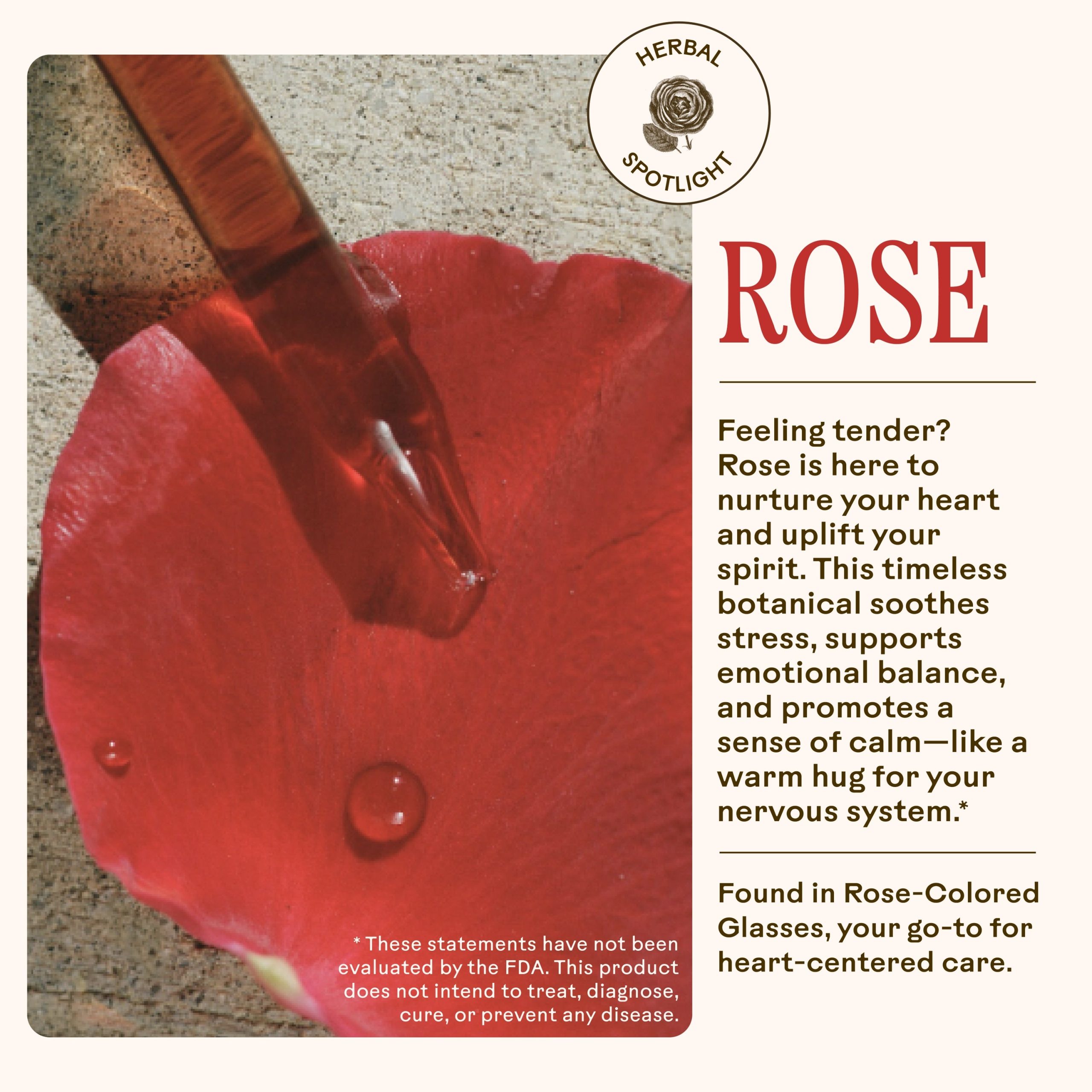 Copy_of_RoseColoredGlassesxAmazonxUpdate-05.jpg