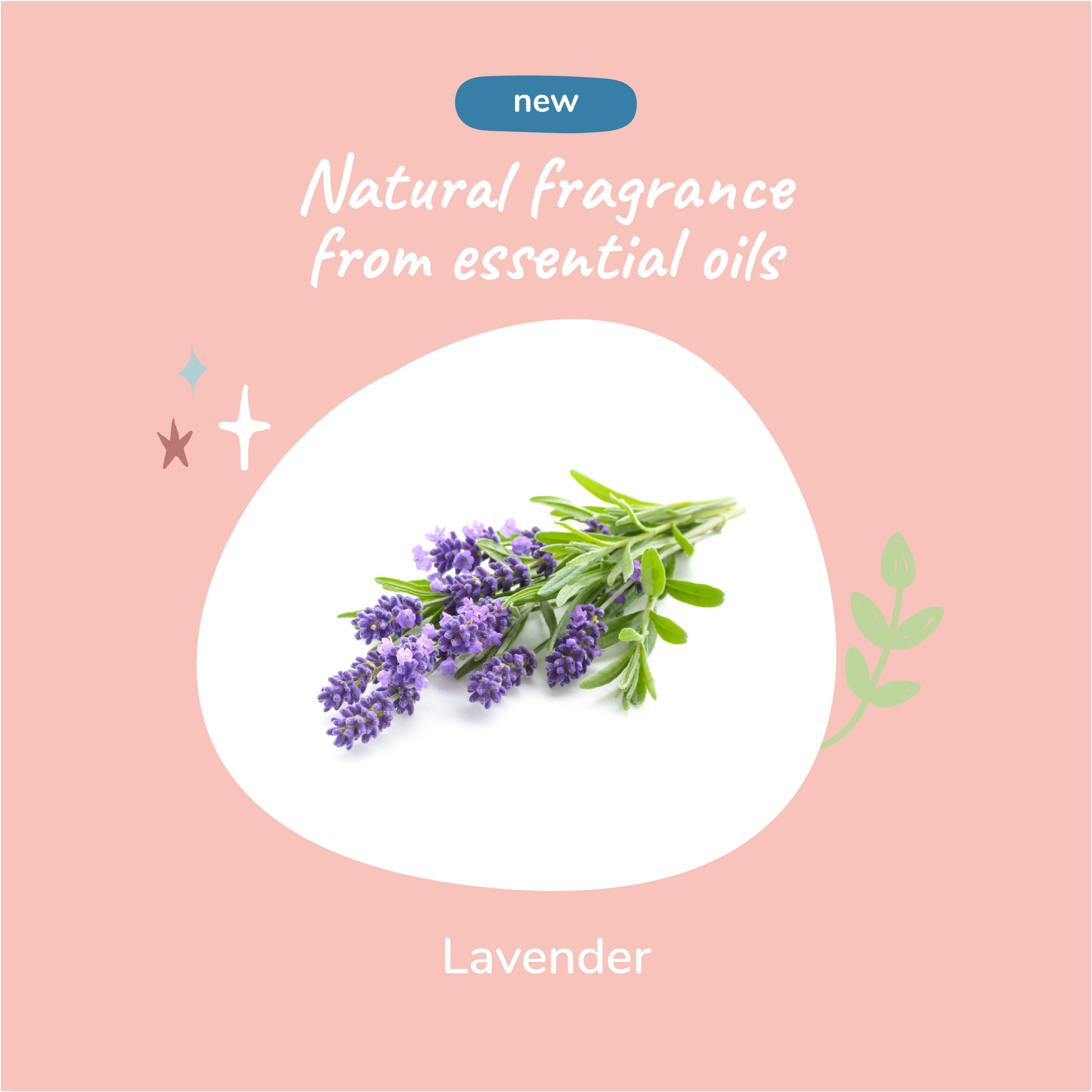 Copyof4.IngredientHighLevelImageShampoo_ConditionerOatmealShampooLavender.jpg