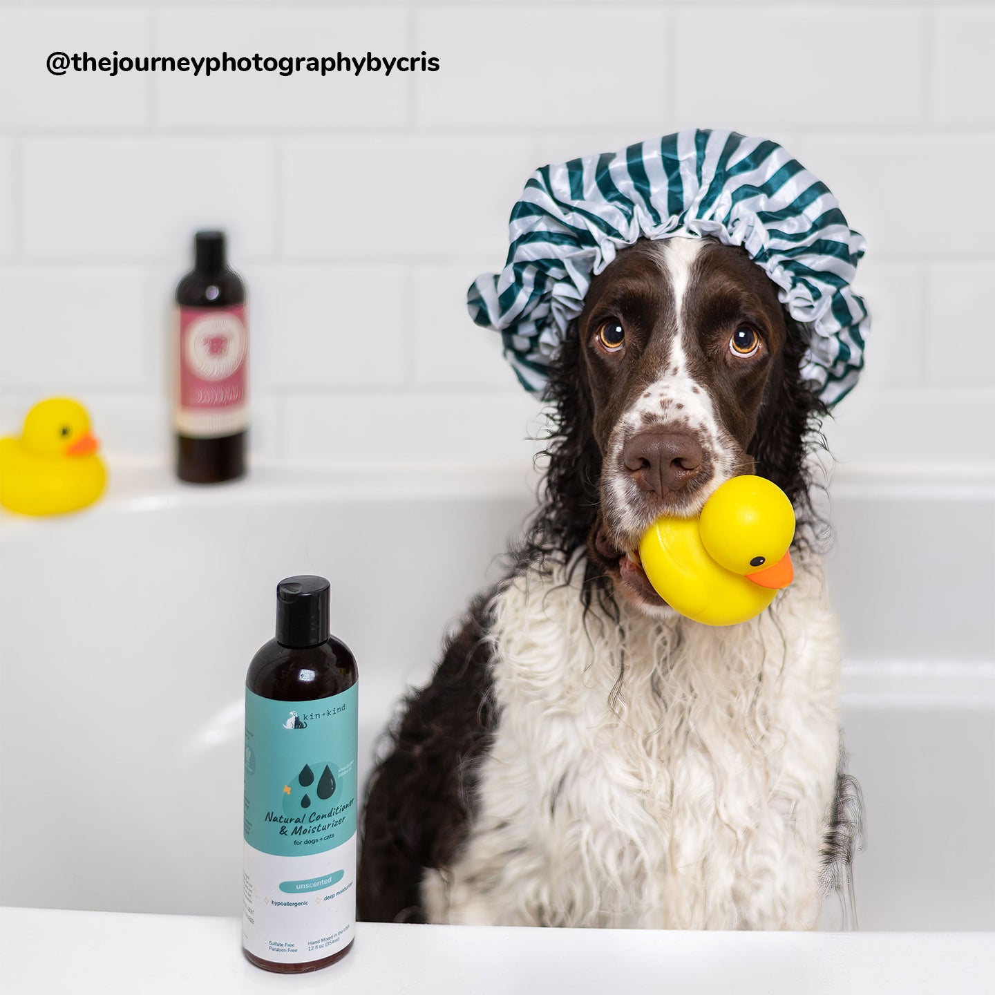 Copyof5.UGCImageShampoo_ConditionerMoisturizingConditioner.jpg