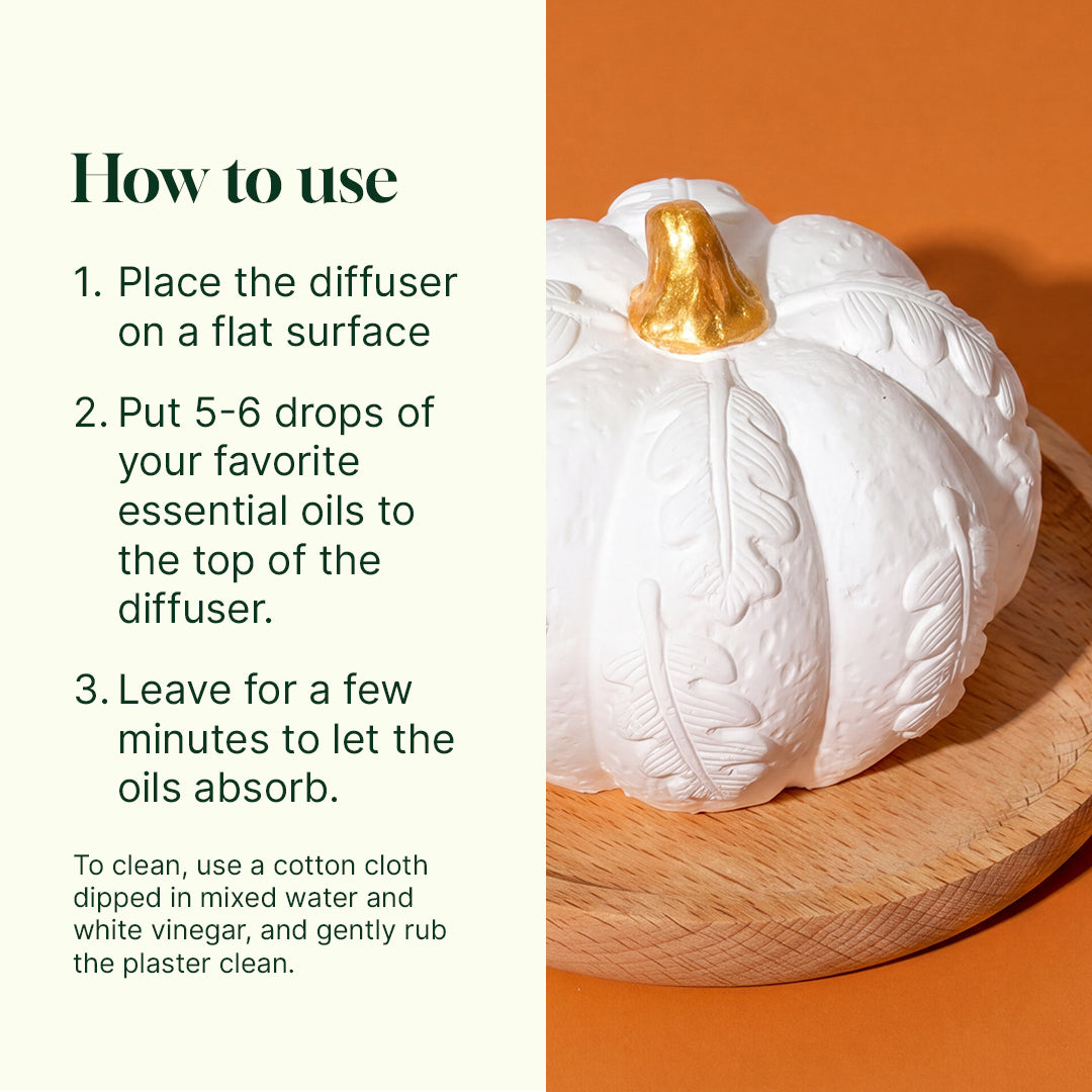 CopyofCopyofPumpkin_passive_diffuser-01.jpg