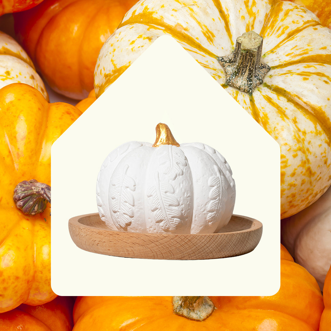 CopyofCopyofPumpkin_passive_diffuser-02.jpg