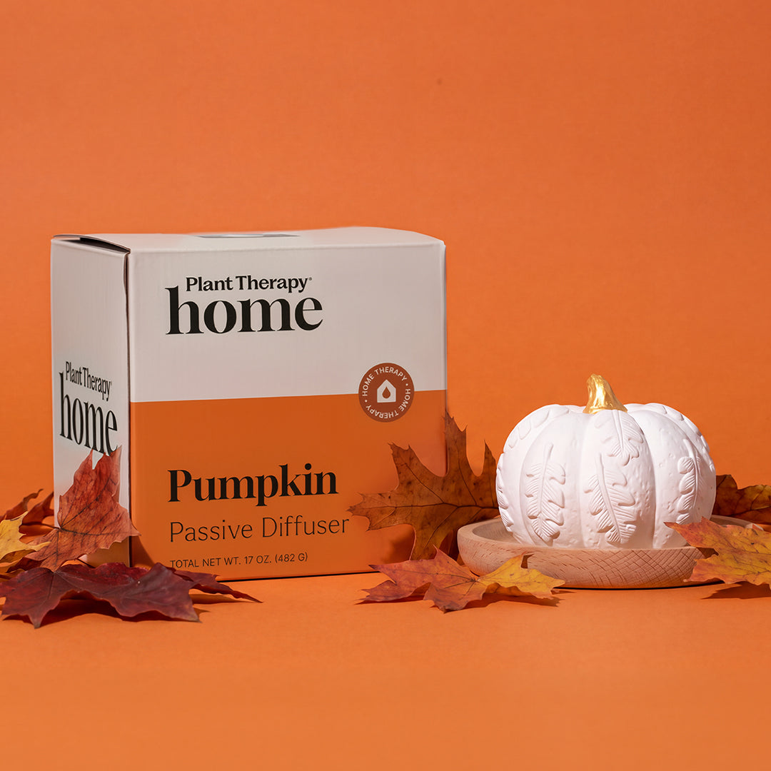 CopyofCopyofPumpkin_passive_diffuser-06.jpg