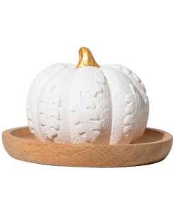 Pumpkin Passive Diffuser