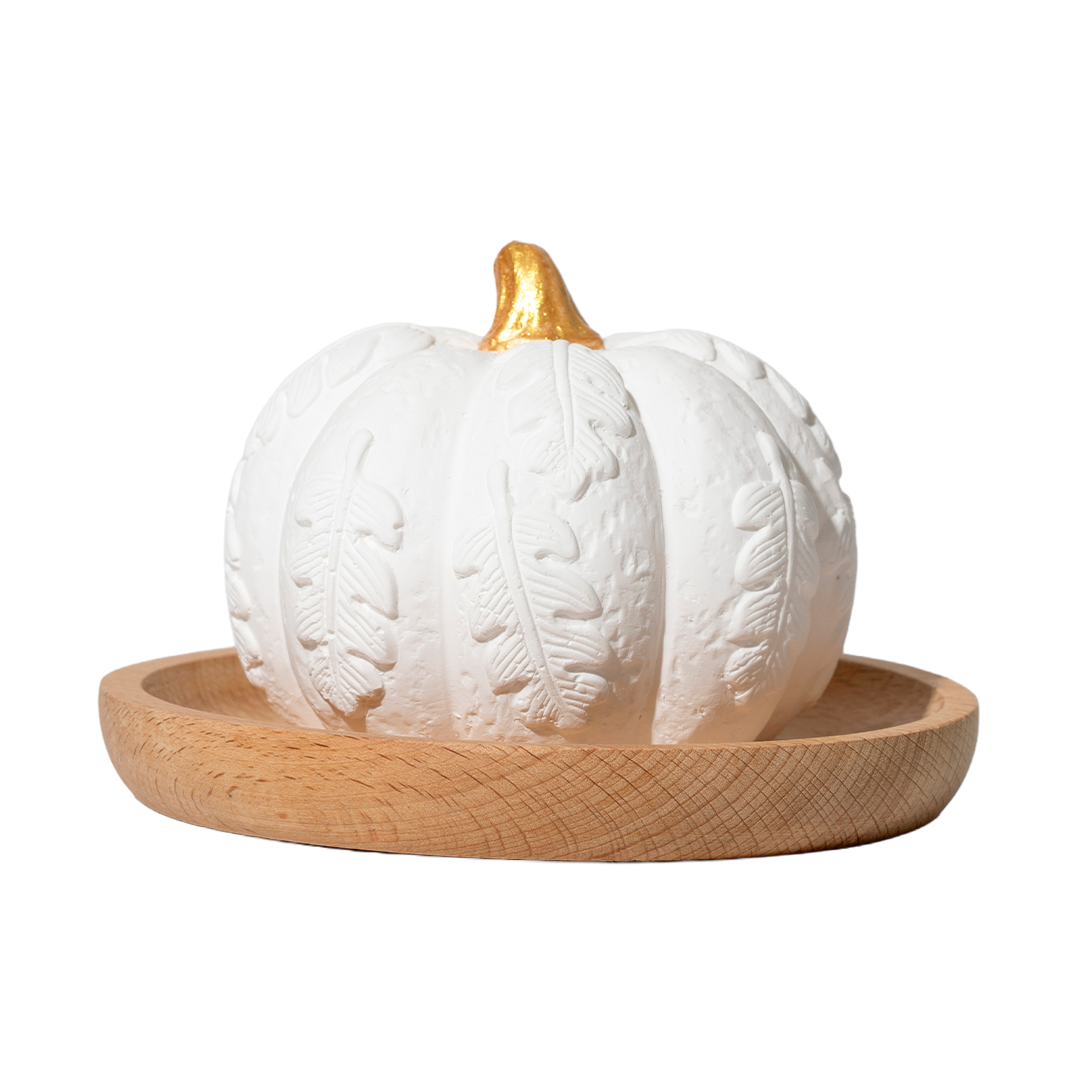 CopyofPumkin_Passive_Diffuser-2026-ISO.png