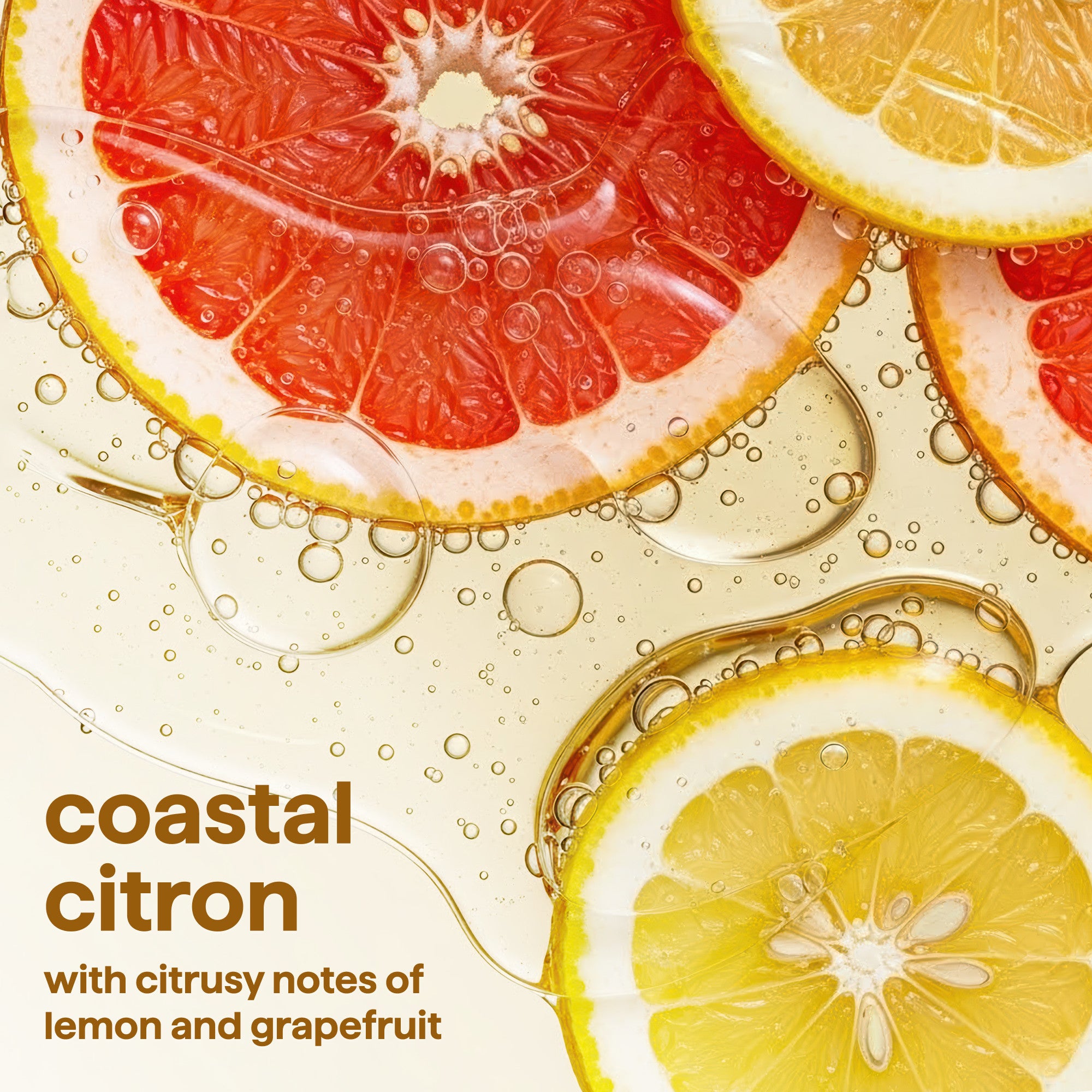 DishSoapDispenserCoastalCitron6.jpg