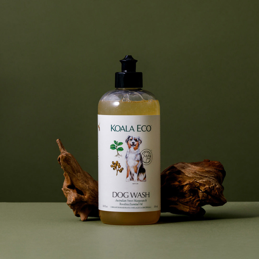 DogWash-16.9oz-Green-Resized-NewCap-V2.jpg
