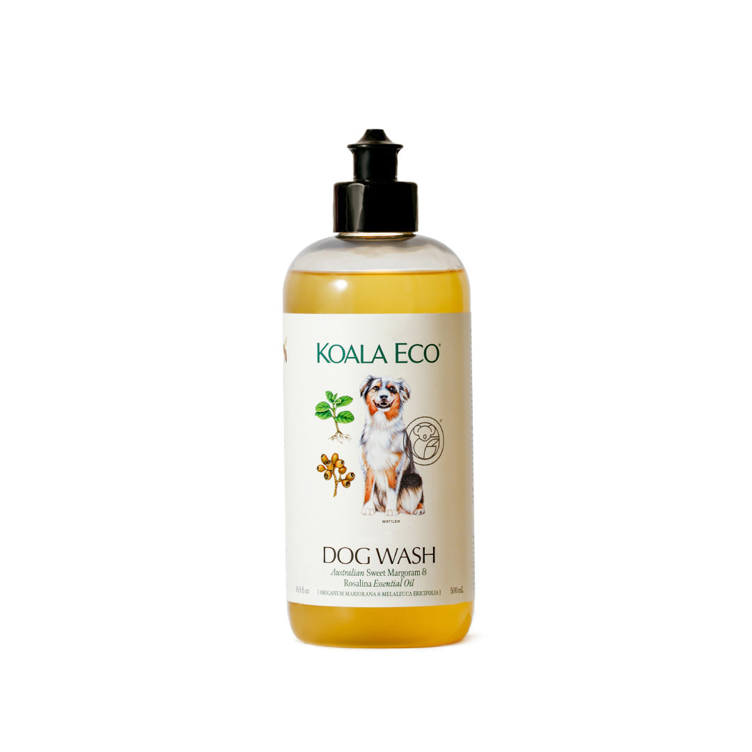 DogWash-16.9oz-White-Resized-New-Cap-V2.jpg