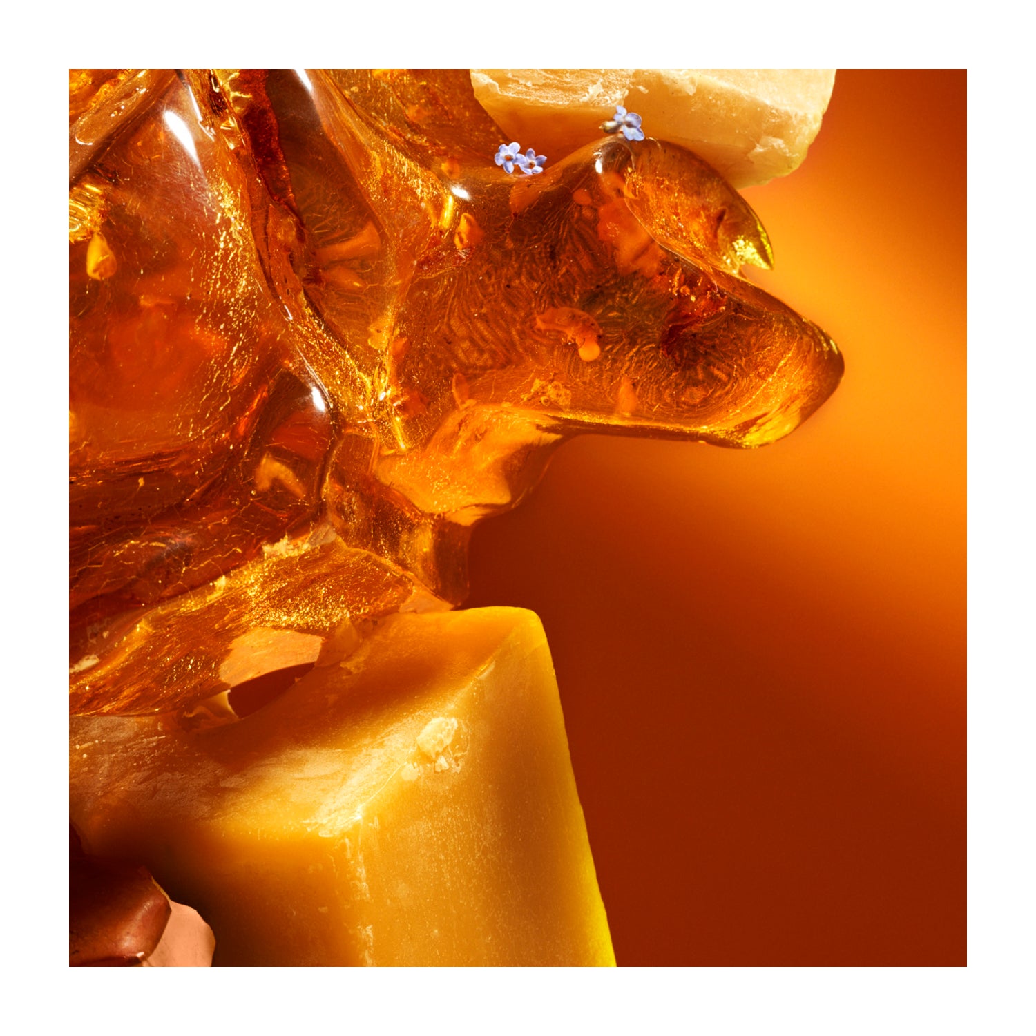 Drift_Single_Woof_Starter_Kit___Amber__Scent_Lifestyle.jpg