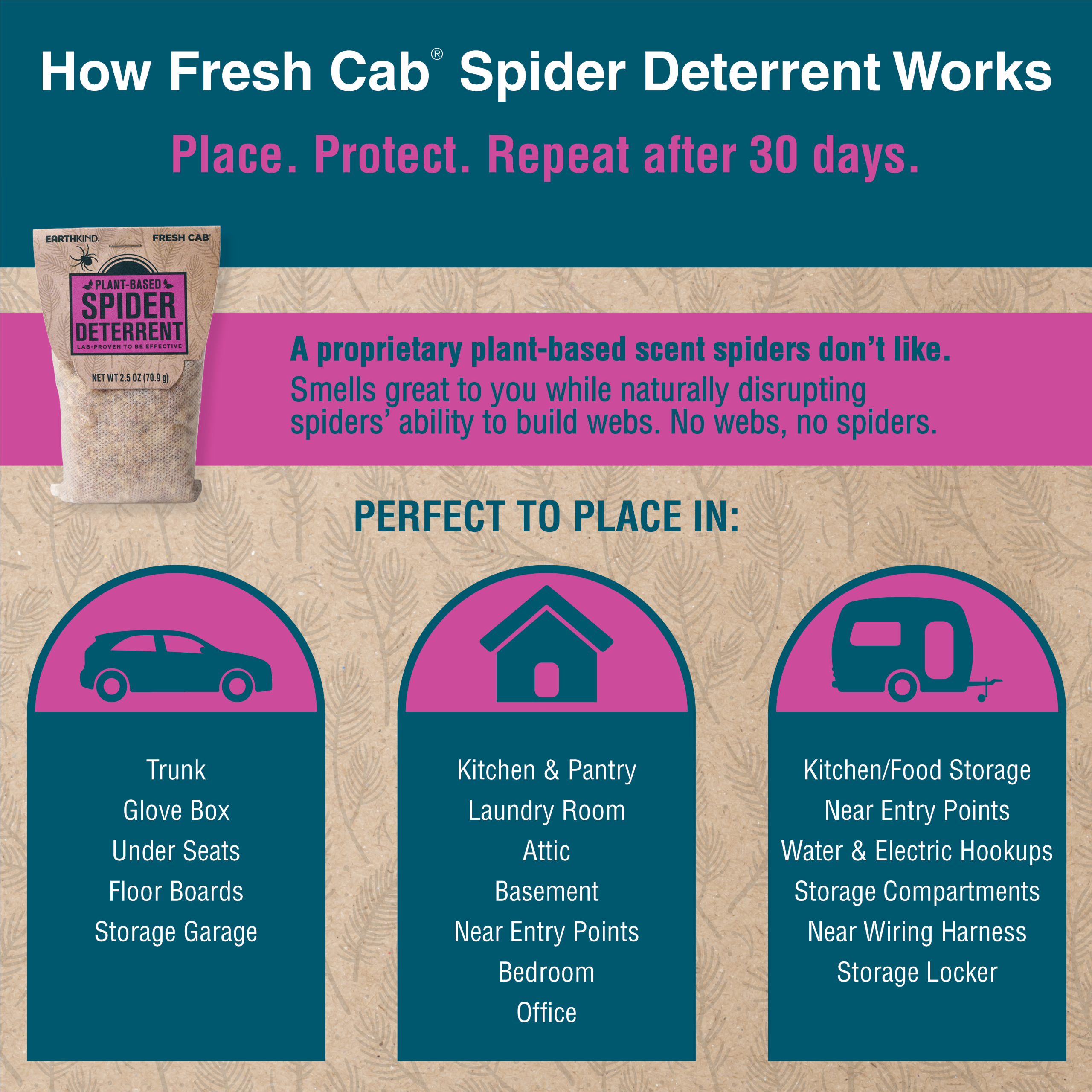 EK.com-Spider-Carousel5.png