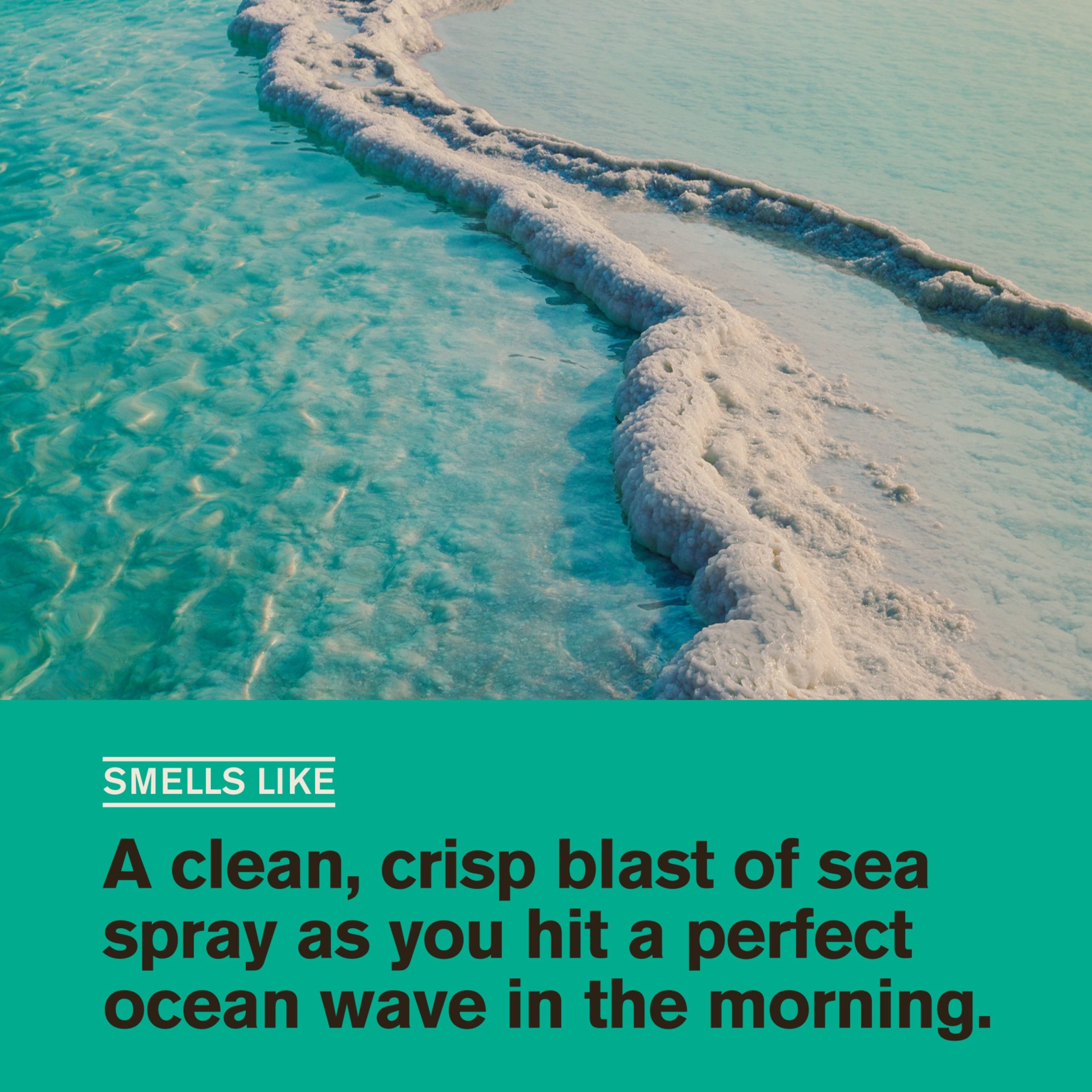 Every_Man_Jack_All_Over_Wash_Sea_Salt___Citrus_Scent_Image-4.jpg