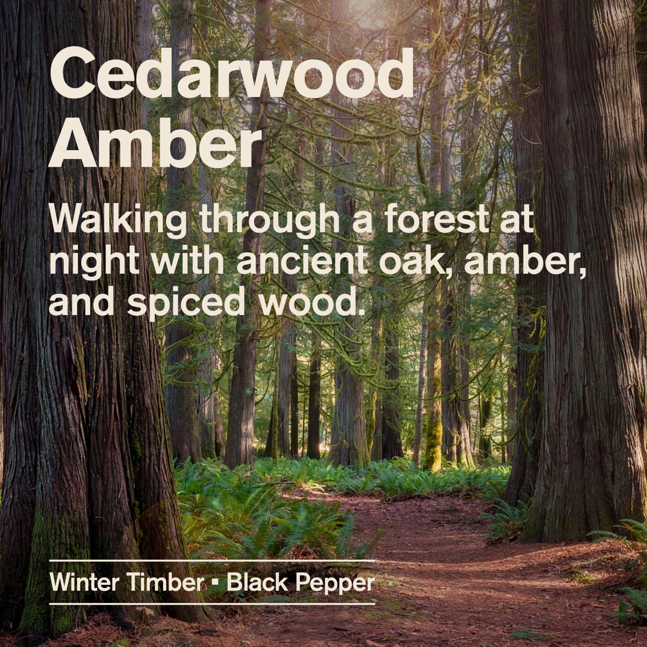Every_Man_Jack_Aluminum_Free_Deodorant_Cedarwood_Amber_Alt_Image_2-3.jpg