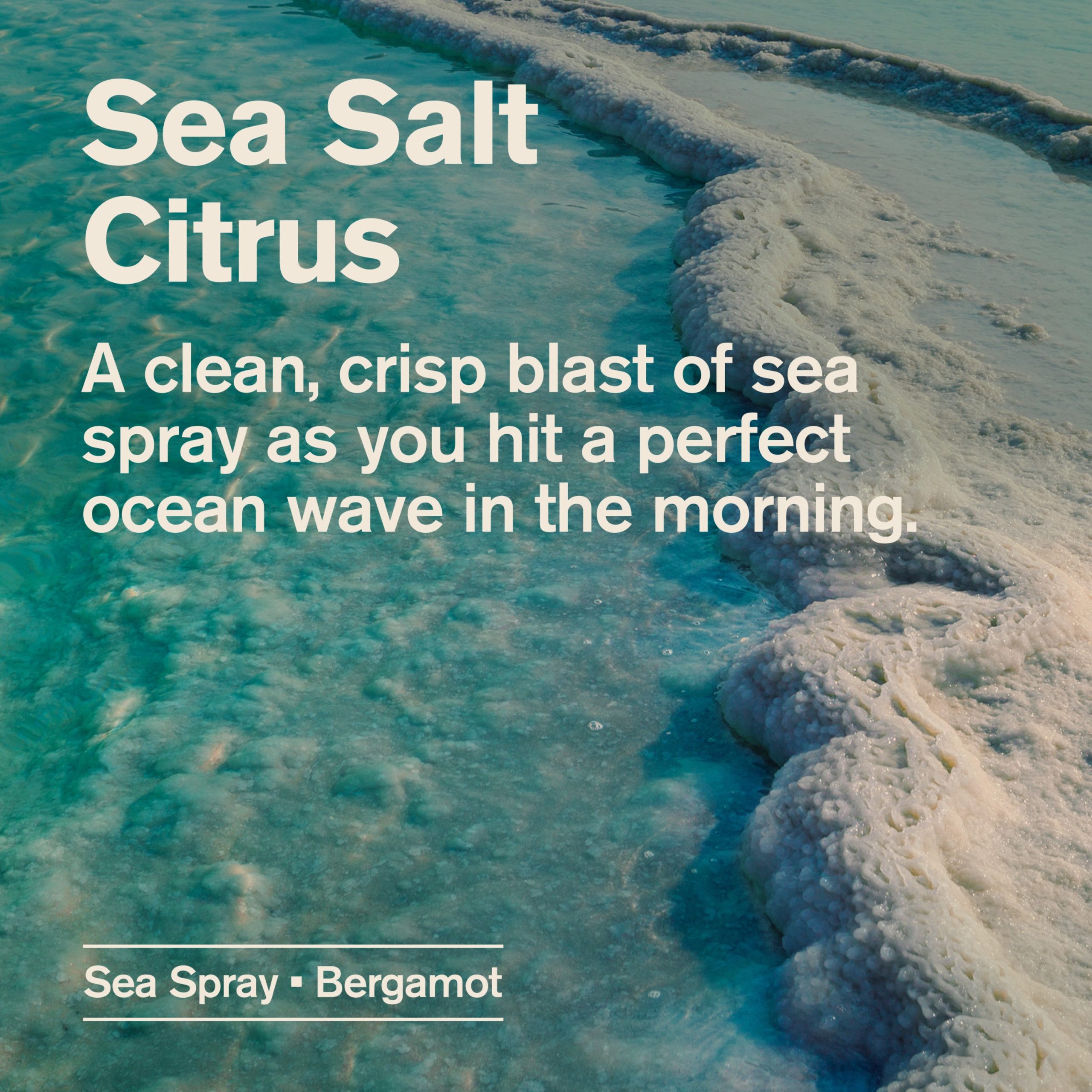 Every_Man_Jack_Aluminum_Free_Deodorant_Sea_Salt_Citrus_Alt_Image_2-3.jpg