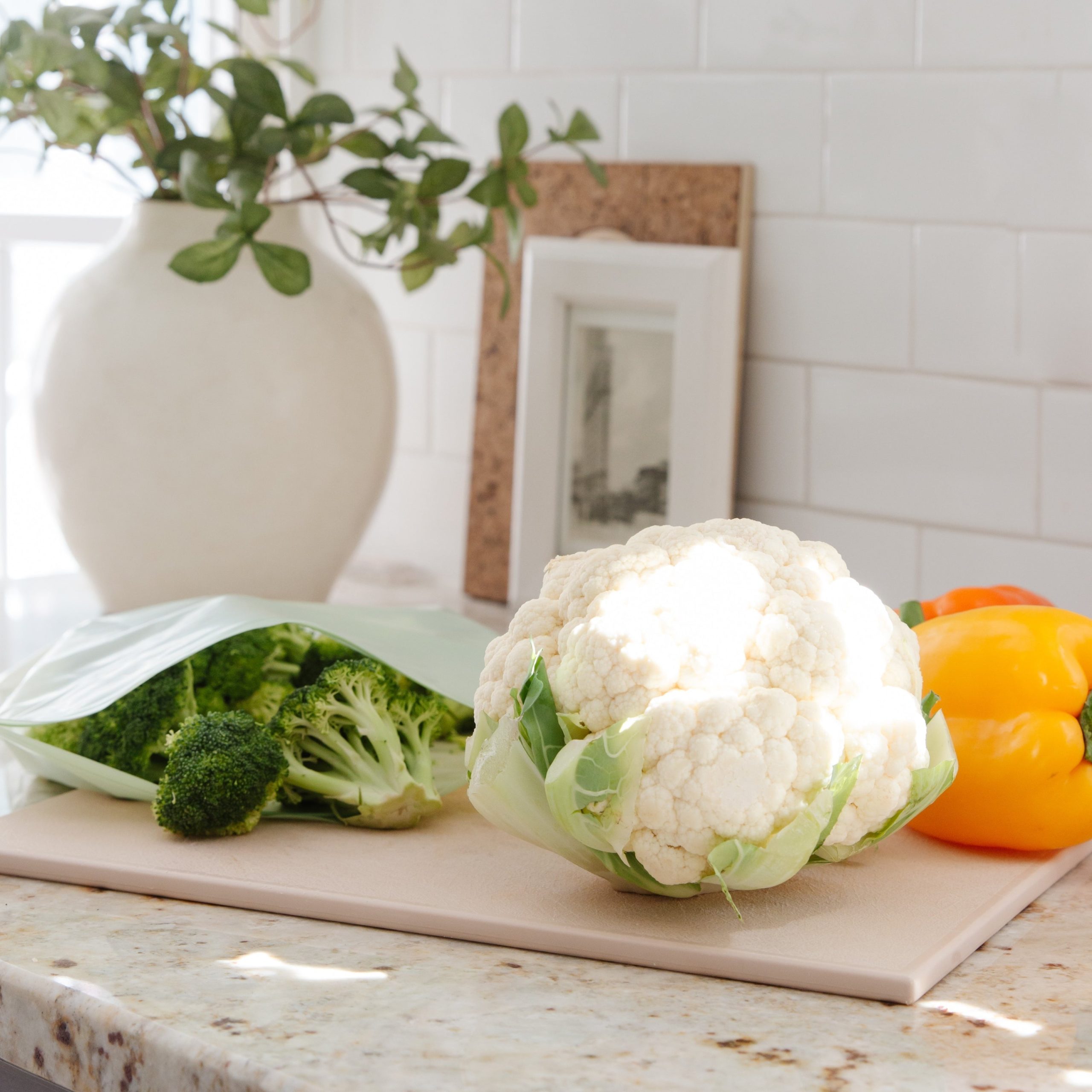 FC24814_CompostableZipperGallonBags_LS_G.jpg