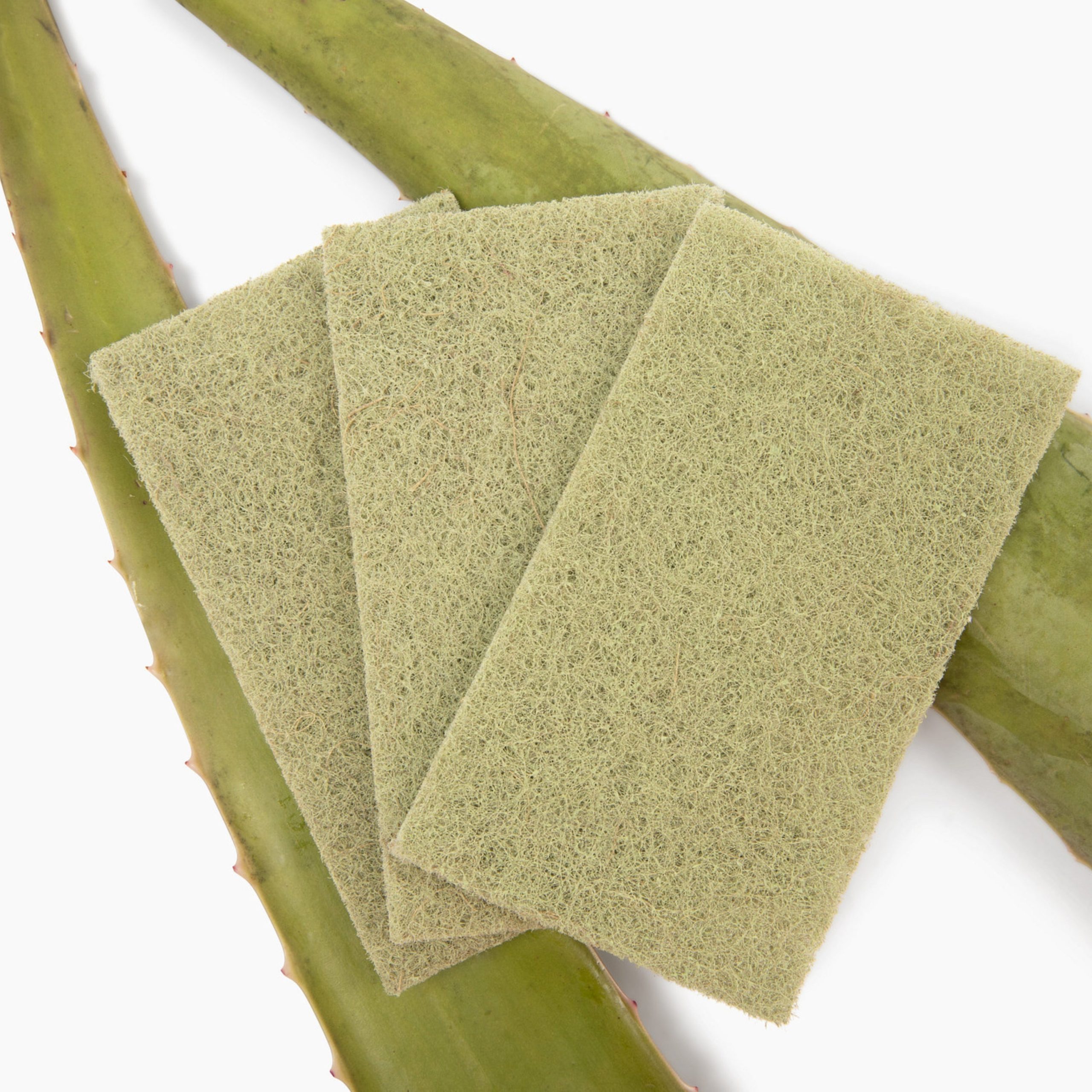 FC25212-AgaveScourPads-3Pk_LS_2.jpg