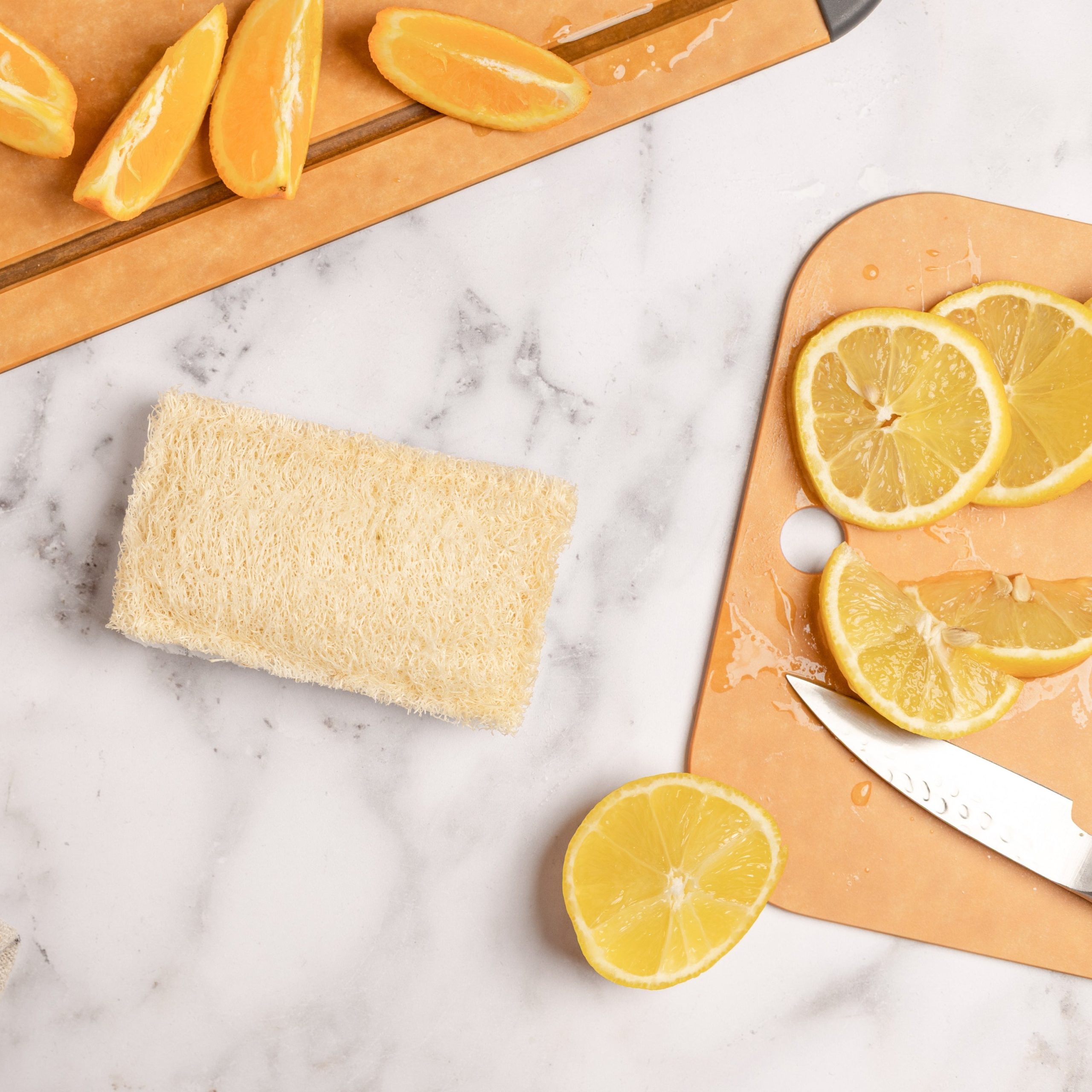 FC25215DLoofahScrubberSponge2pk_LS9.jpg