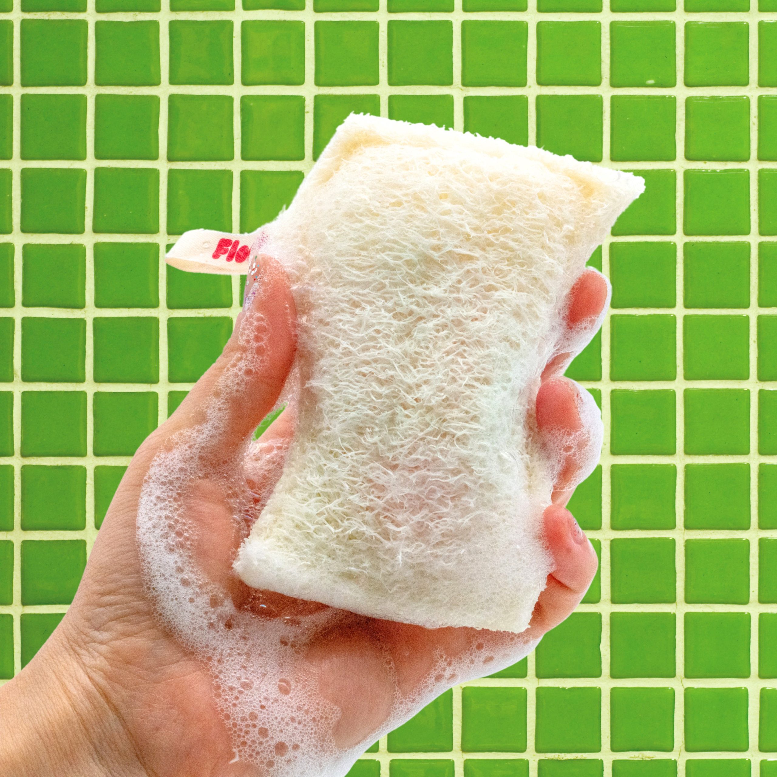 FloofahLuffaKitchenSponge3Closeup.jpg