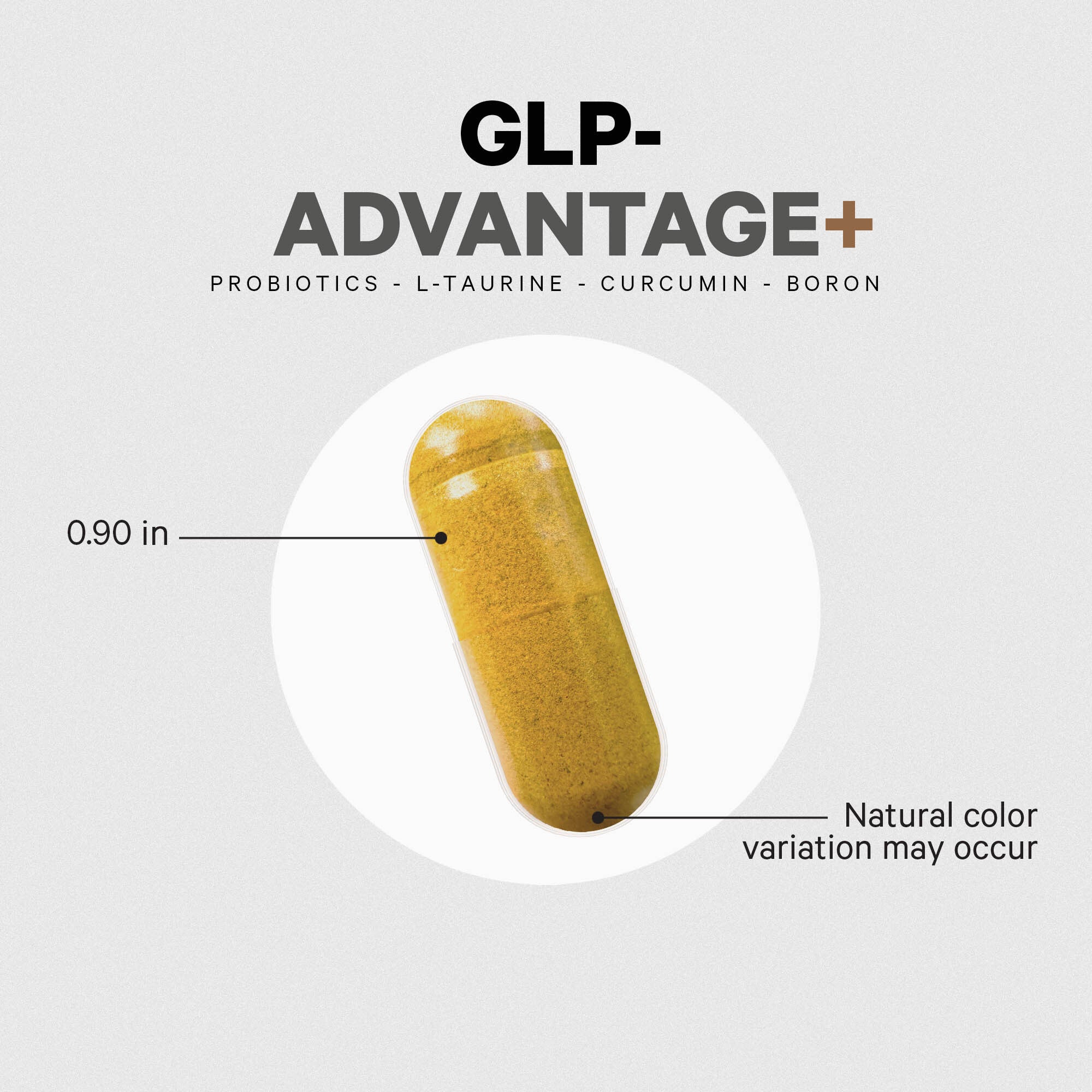 GLP-Advantage_7.jpg