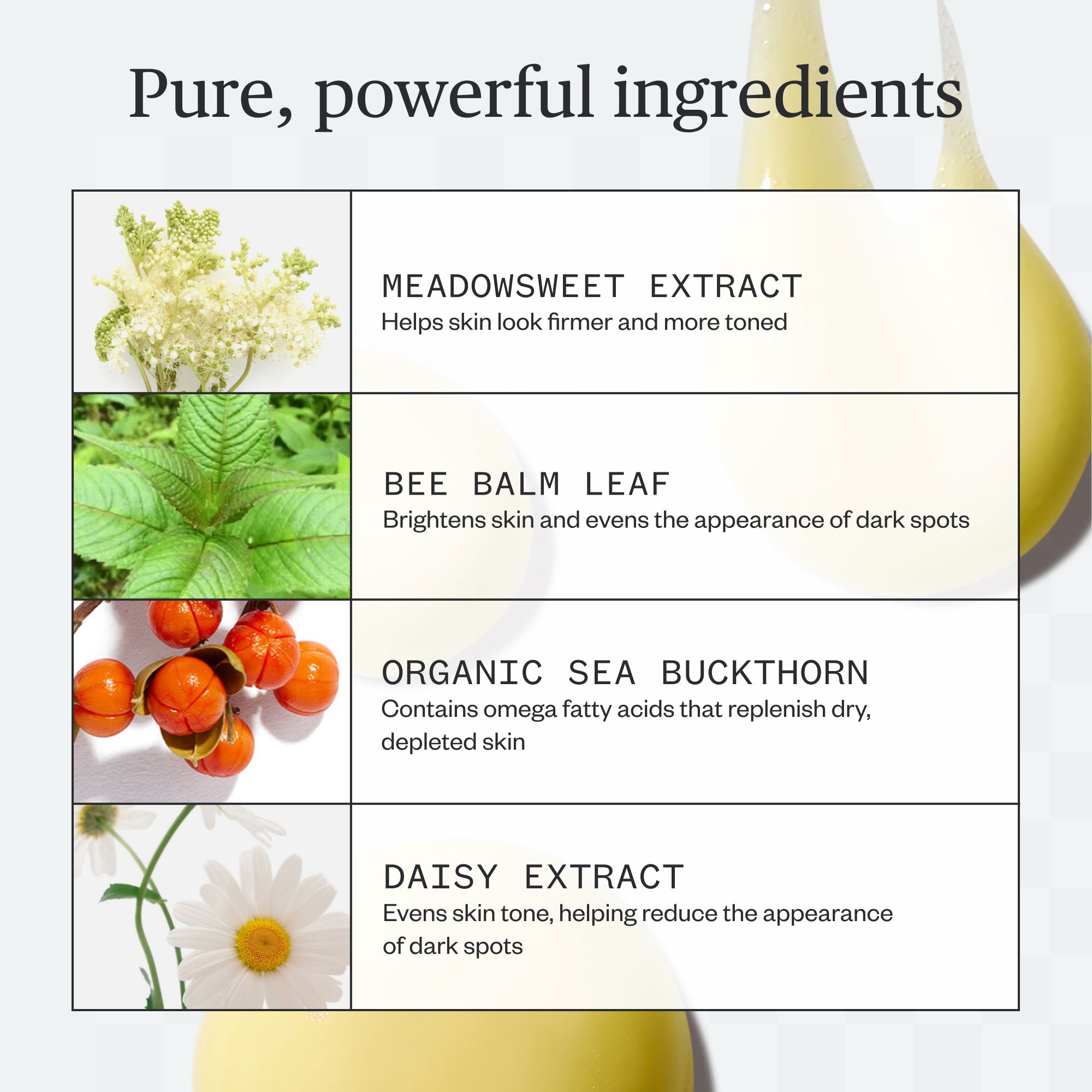 GoldenHourBodySerum_08.jpg