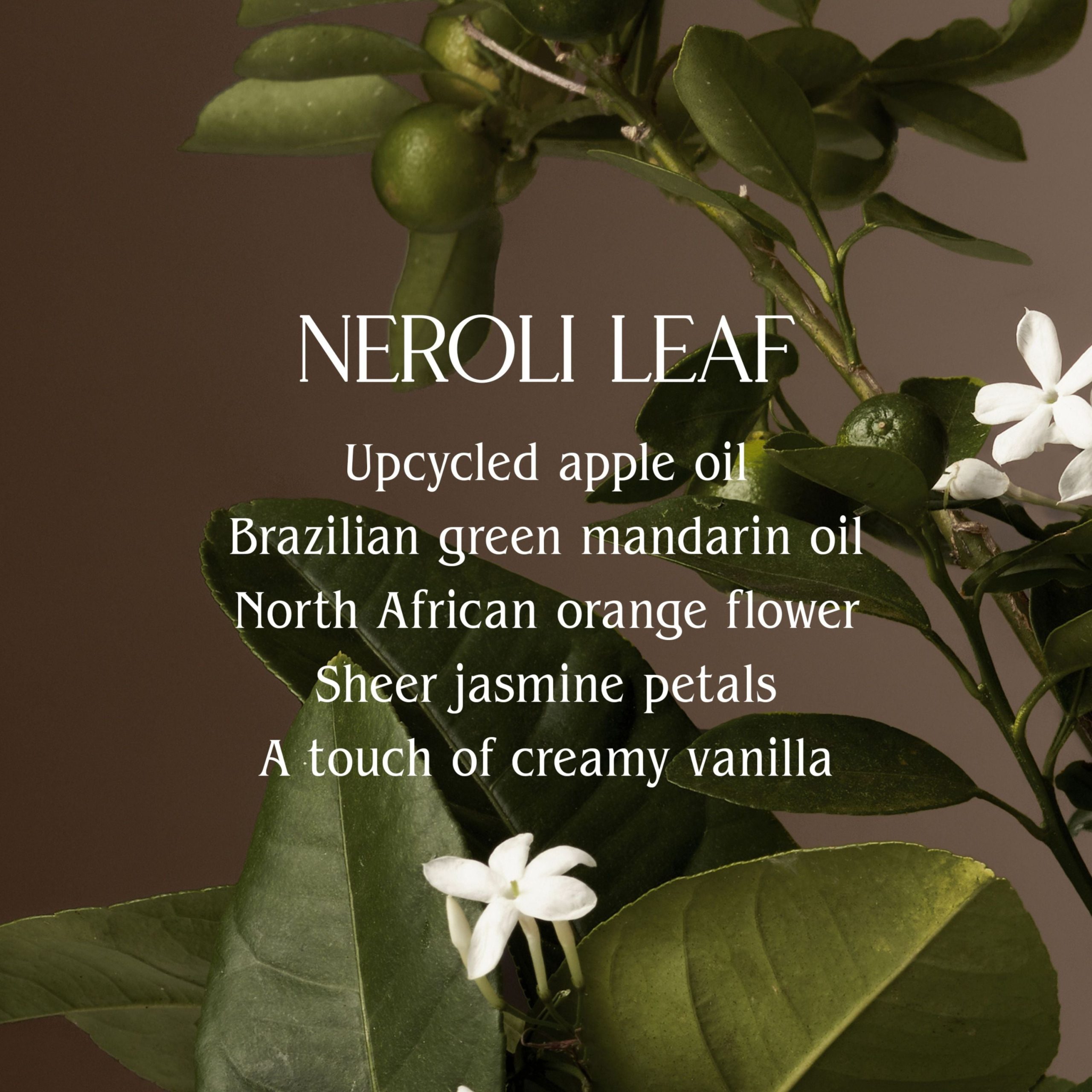 HOMECOURT_DISH_SOAP_NEROLI_LEAF_2.jpg