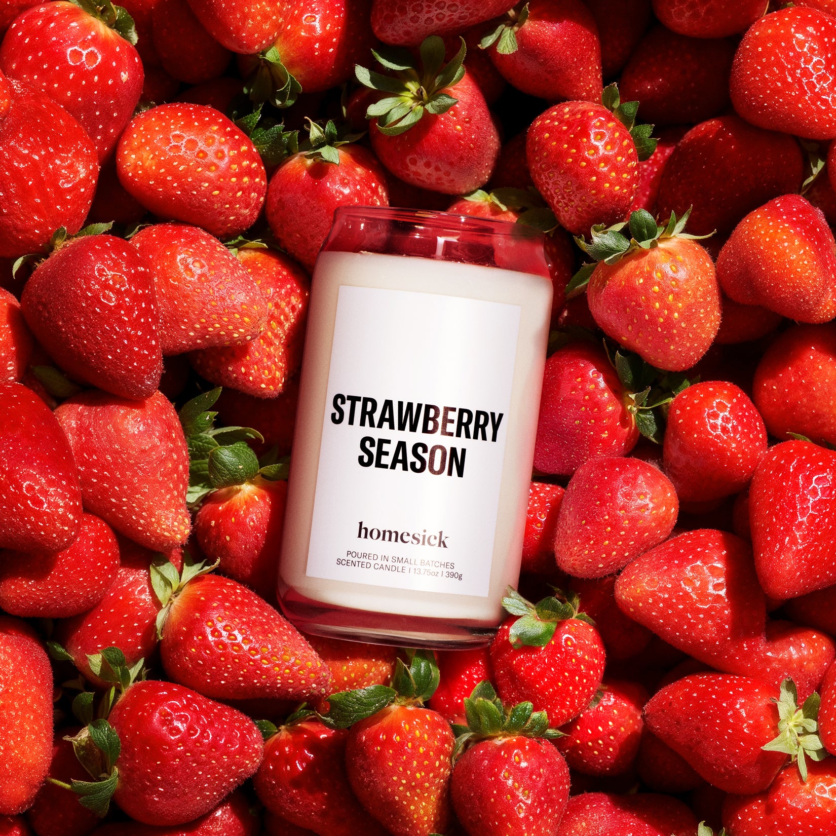 Homesick_StrawberrySeason_lifestyle2.jpg