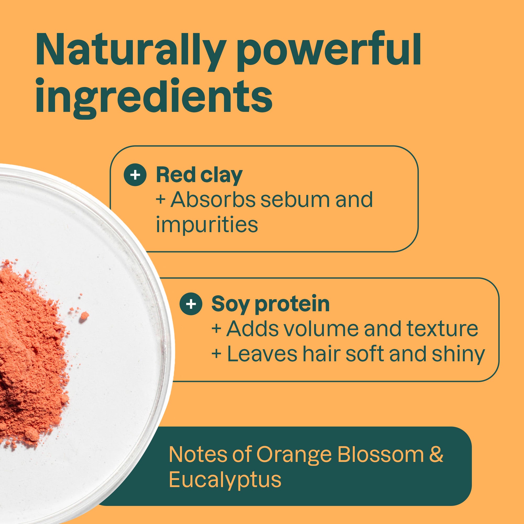 Ingredients-Orange_17130.jpg