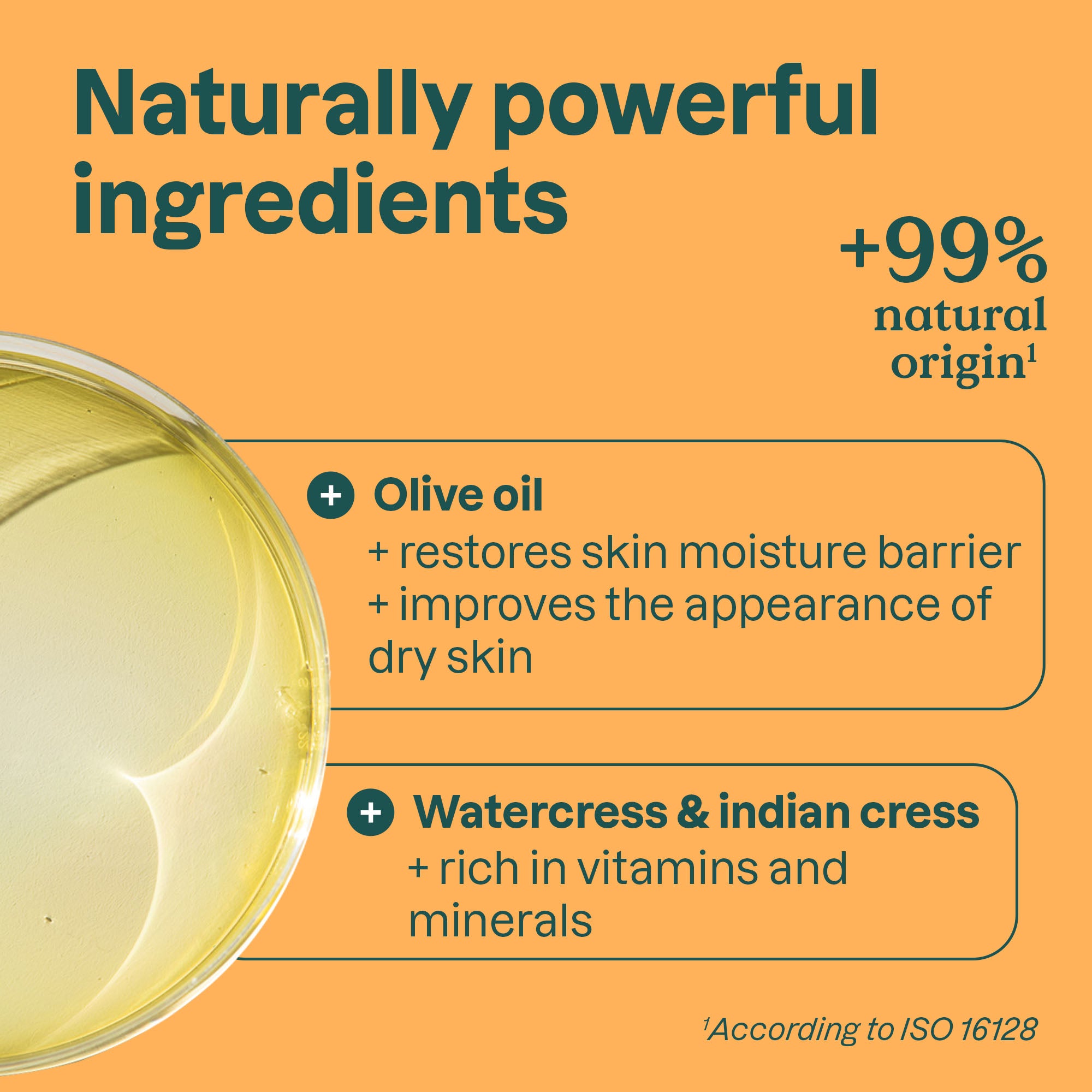 Ingredients-Orange_17150.jpg