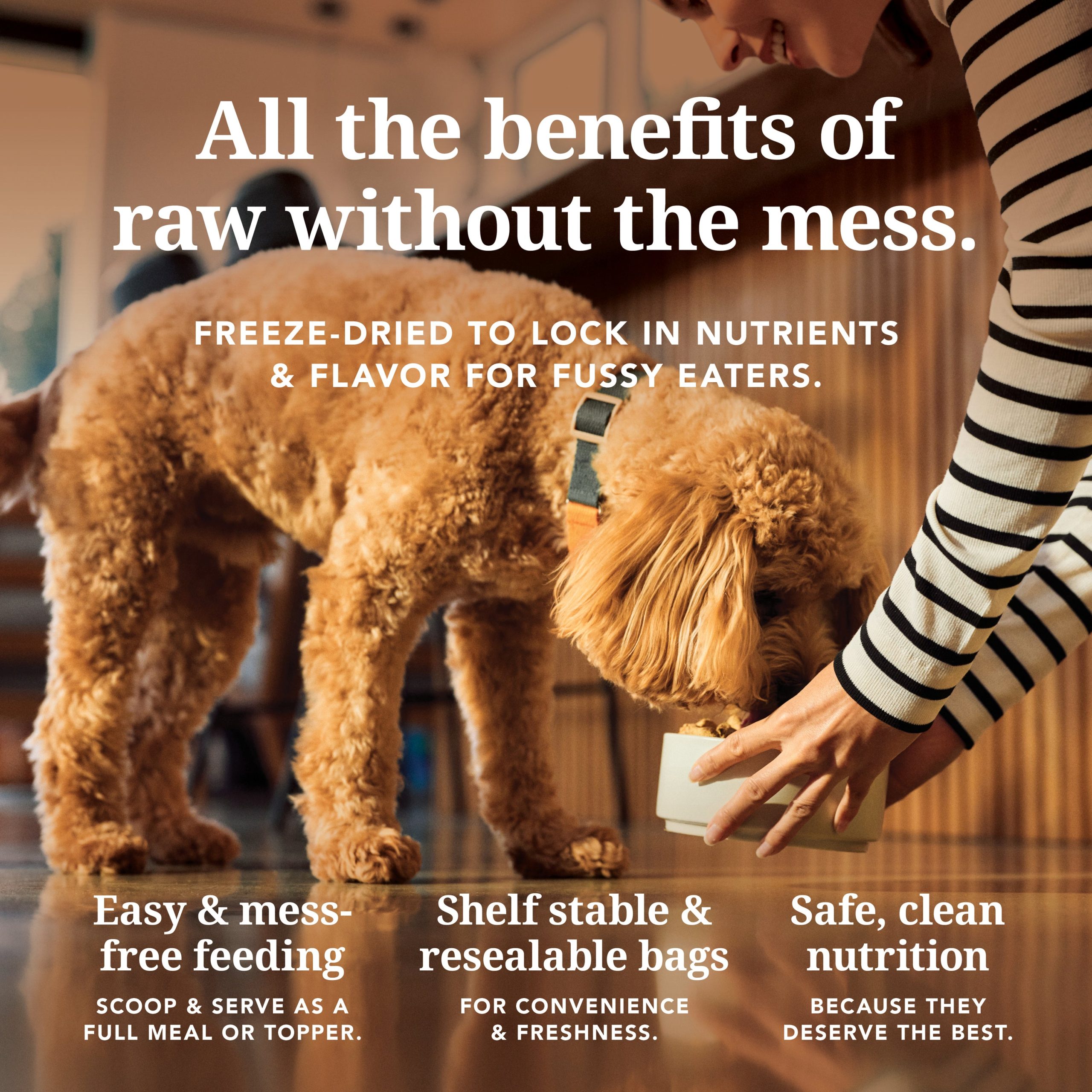 K9-Chicken-FD-Amazon-PDP-Social-asset-4.jpg