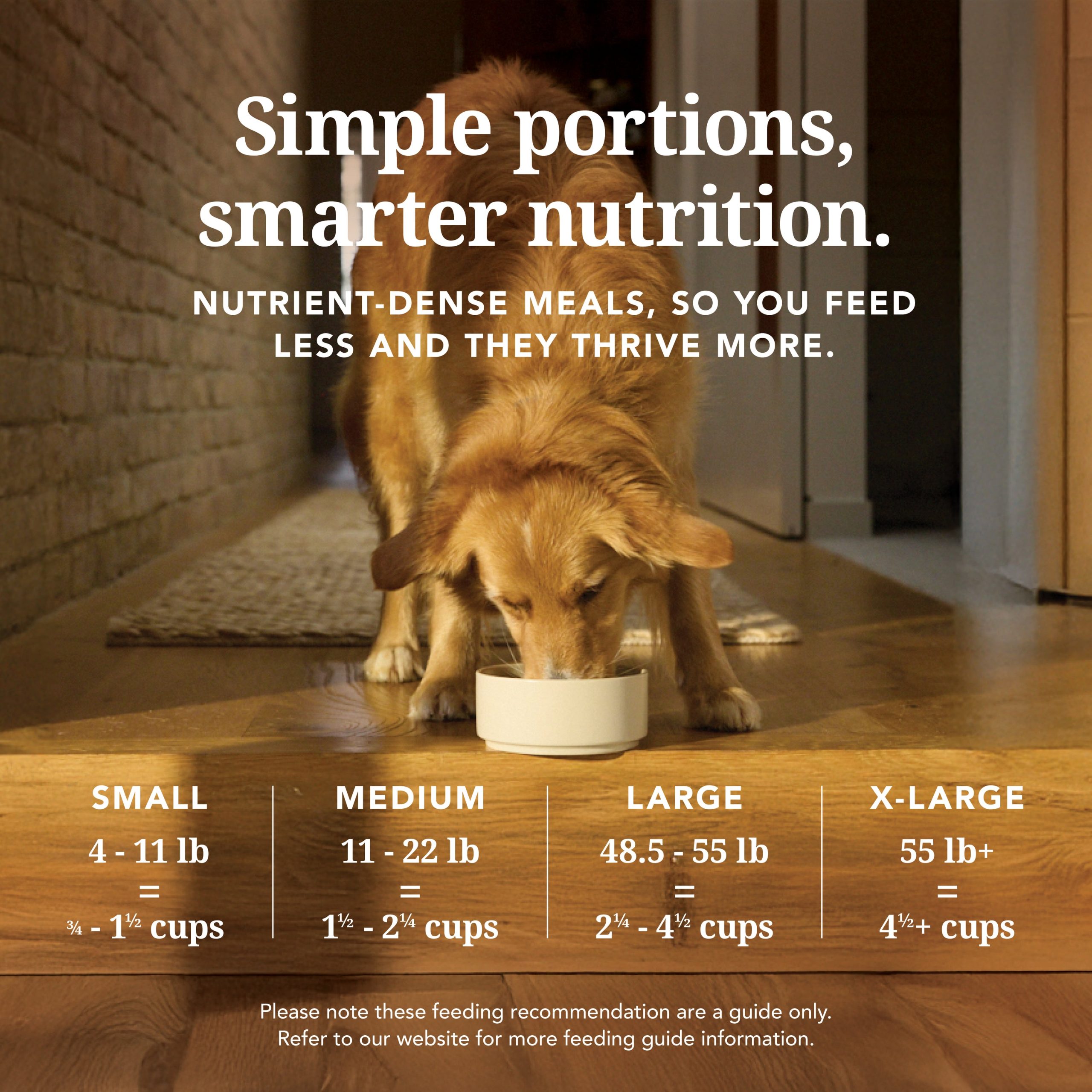 K9-Chicken-FD-Amazon-PDP-Social-asset-6.jpg