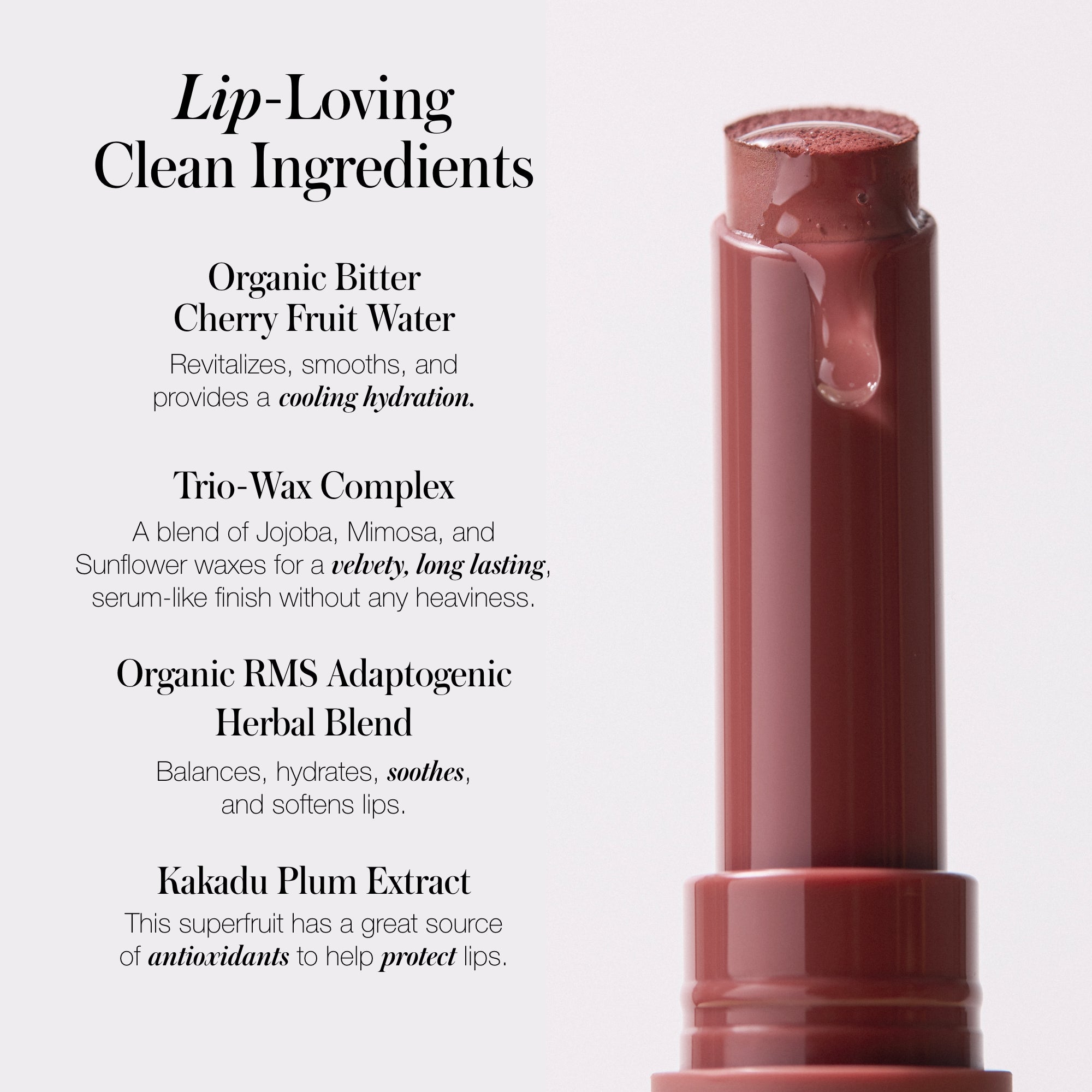 L-LIP-INGREDIENT_NUDES.jpg