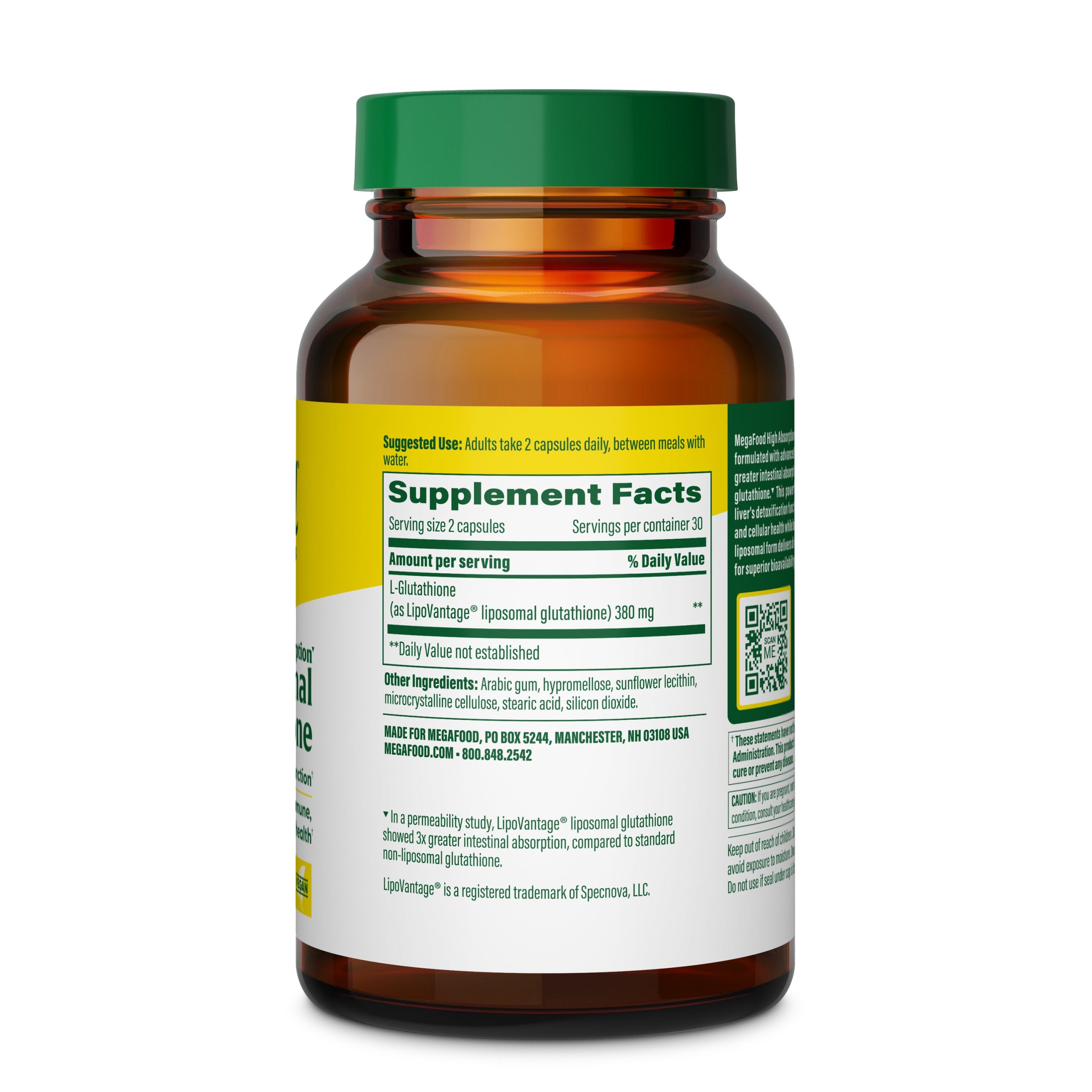 L10604-1A_Liposomal-Glutathione-60ct-120cc-SupplementFacts-3000x3000-0bf1abe4-b399-4e83-877b-87377182c035.jpg