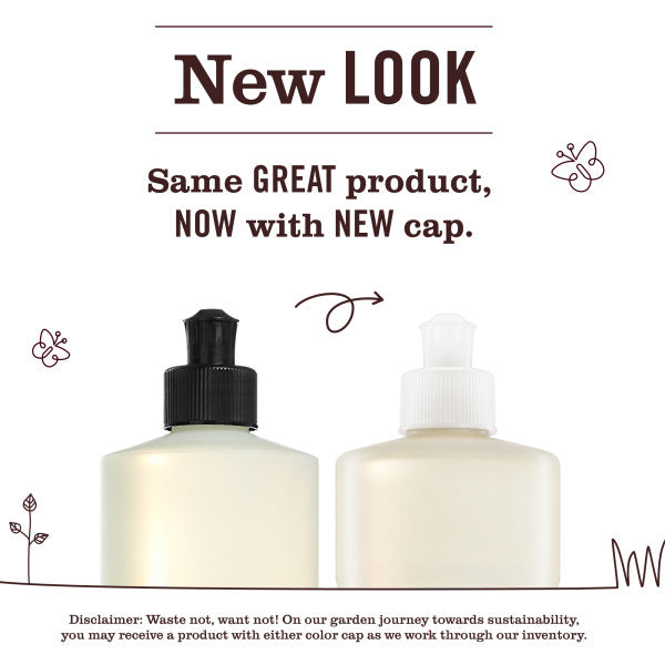 MMCD_Dish_Soap_Transition_CapImage.jpg