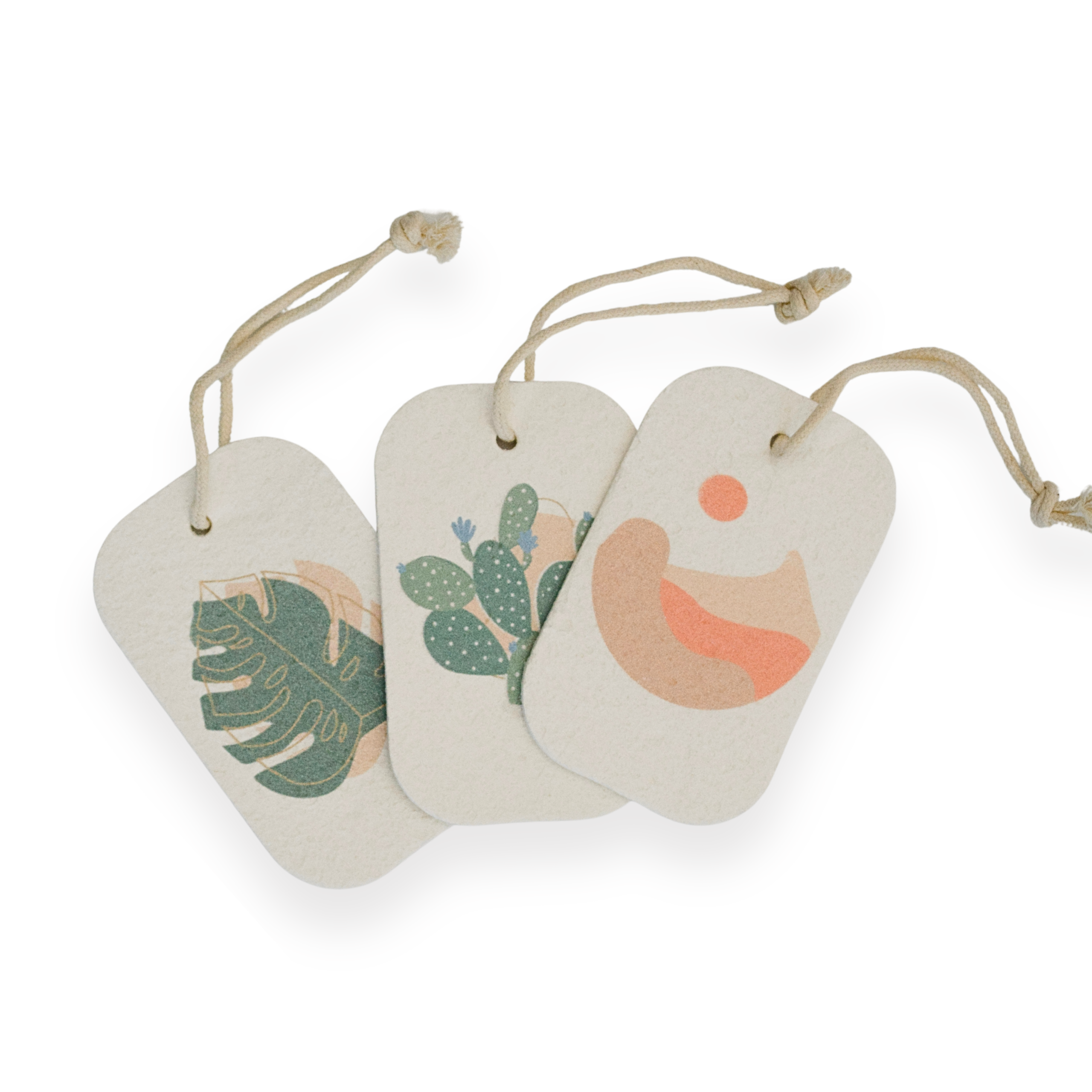 MME_PopUpSponges_DesertCollection_FRONT.png