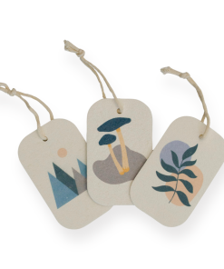 Pop Up Dish Sponges Pack