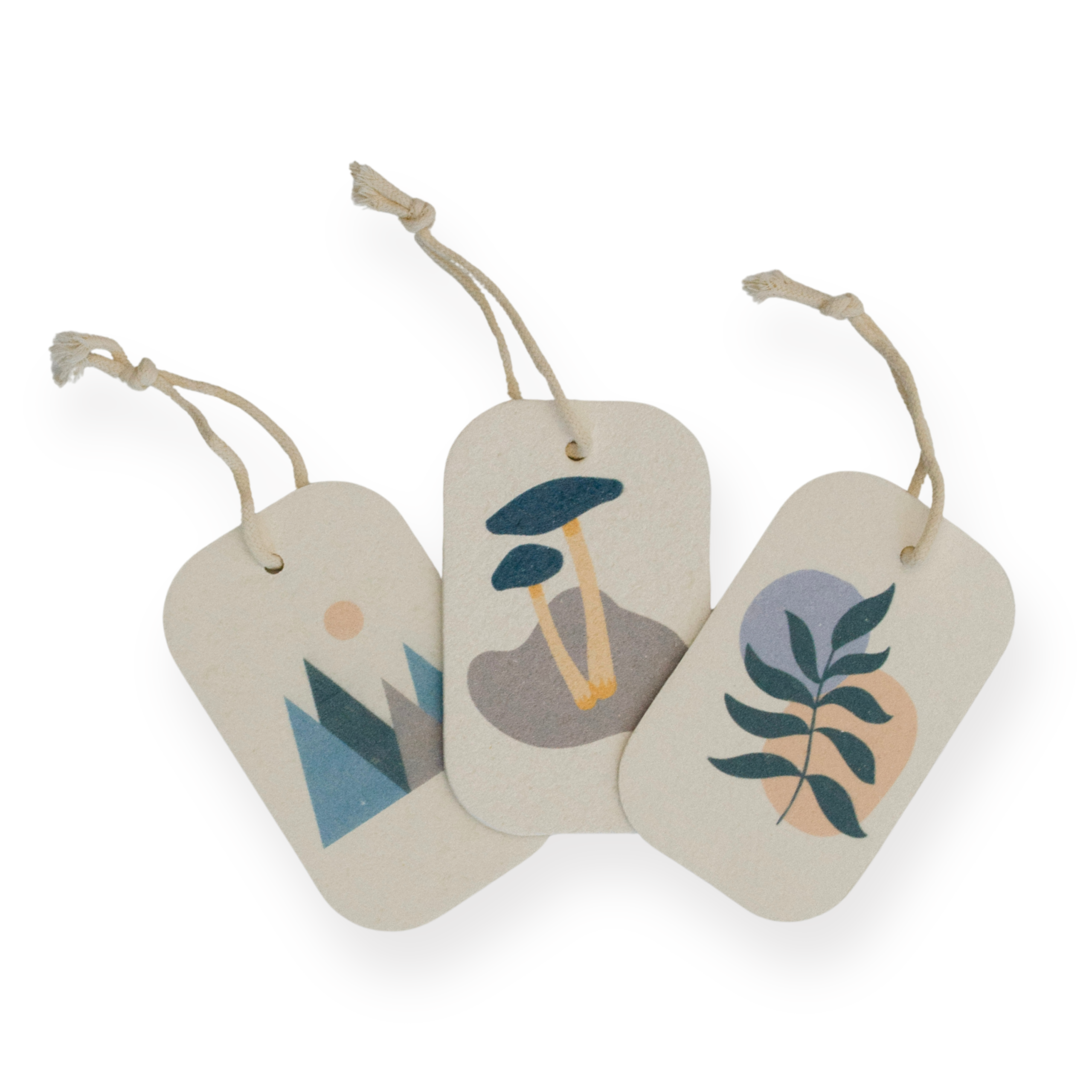 MME_PopUpSponges_ForestCollection_FRONT.png