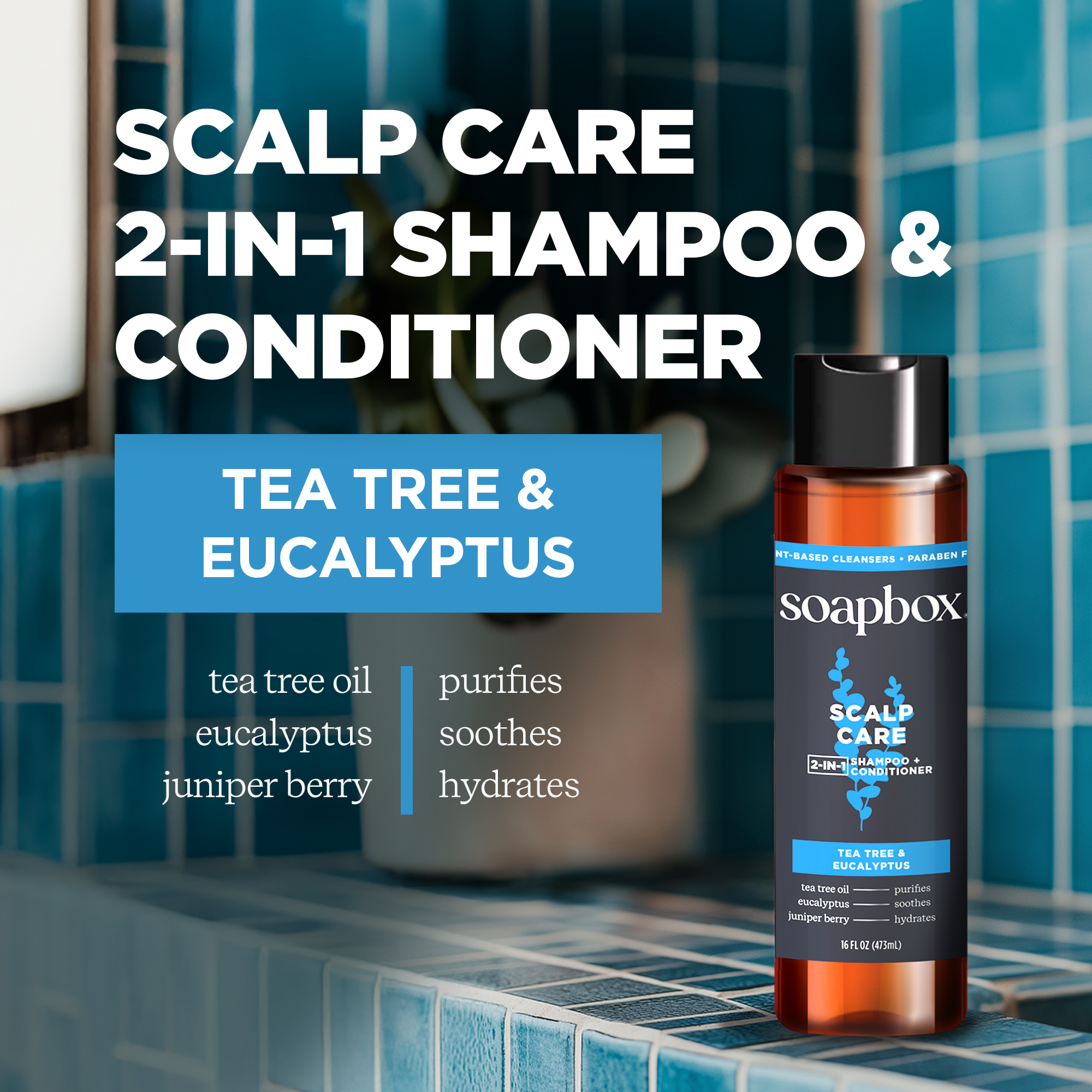 MensScalpcare3.png