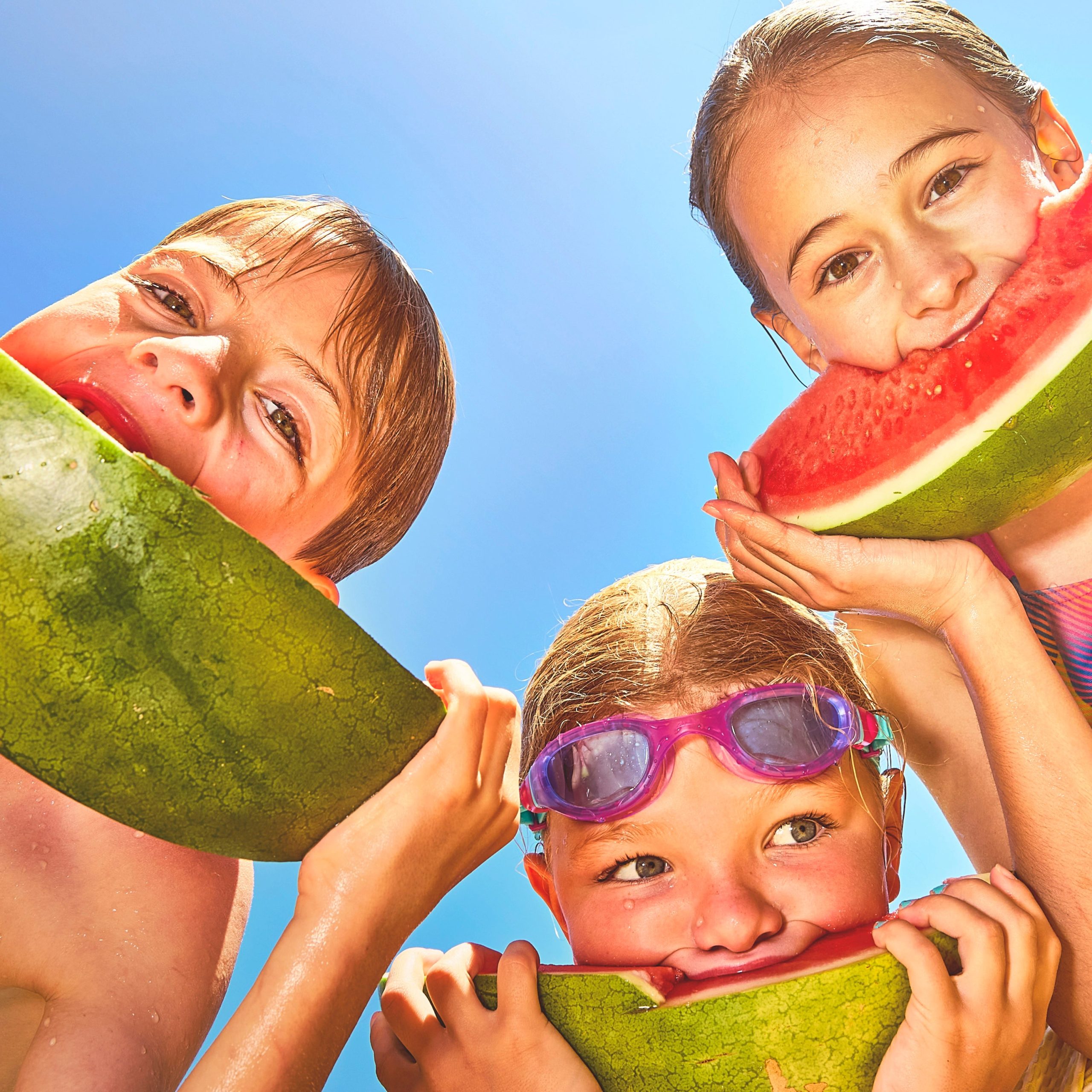 Mimikai_watermelon.jpg