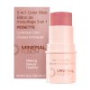 3-in-1 Color Stick