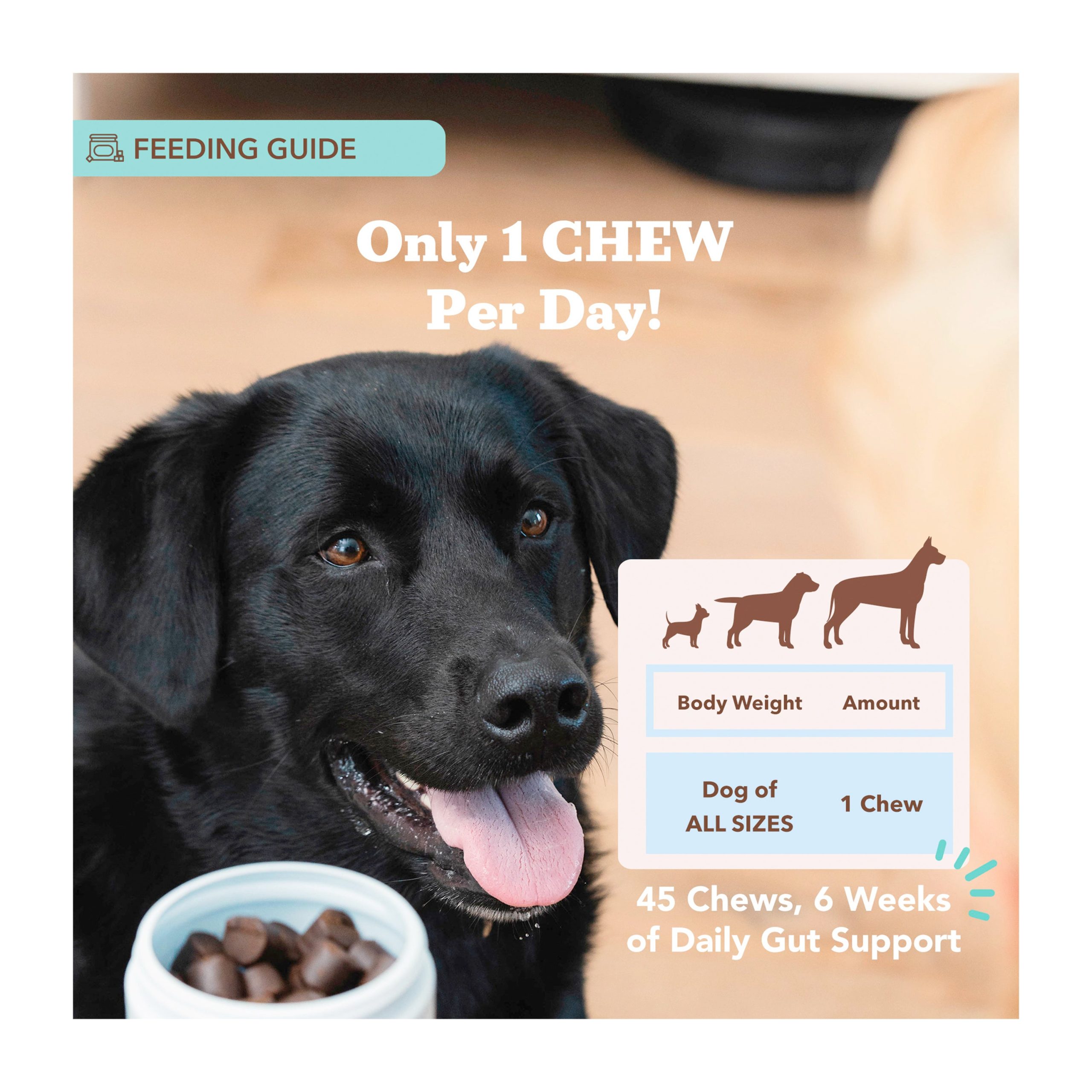 NDC_GutHealth_DigestionDogProbiotics_lifestyle2.jpg