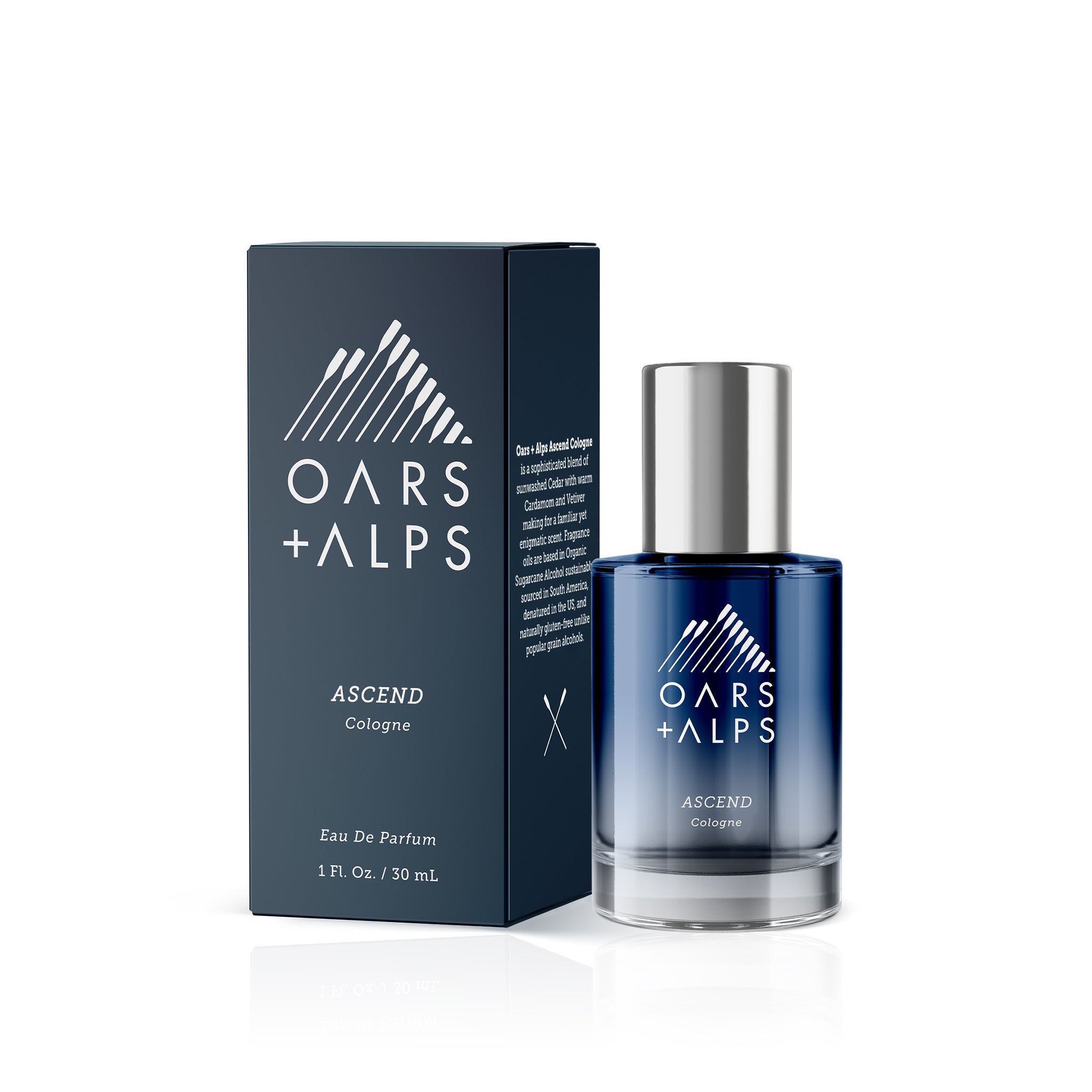 OarsAlps_AscendCologne_front_2.jpg
