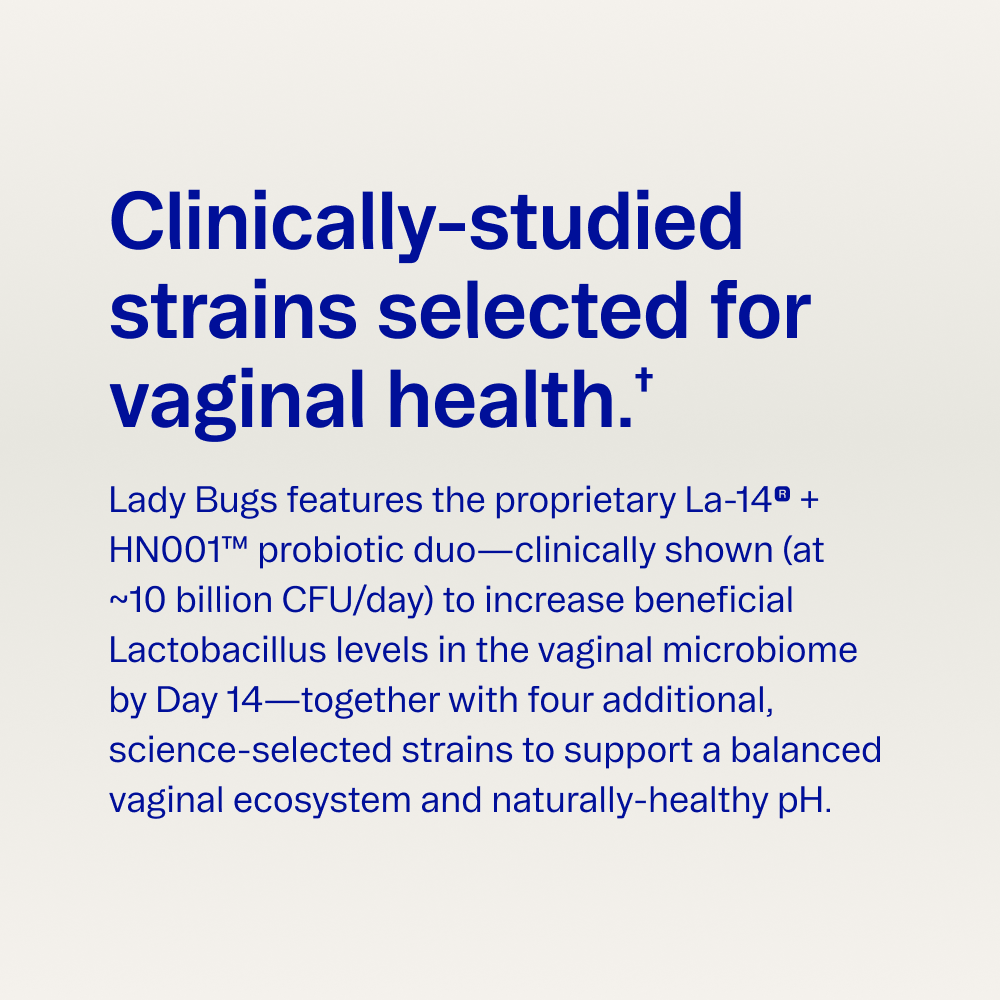Ora_LadyBugs_06.png