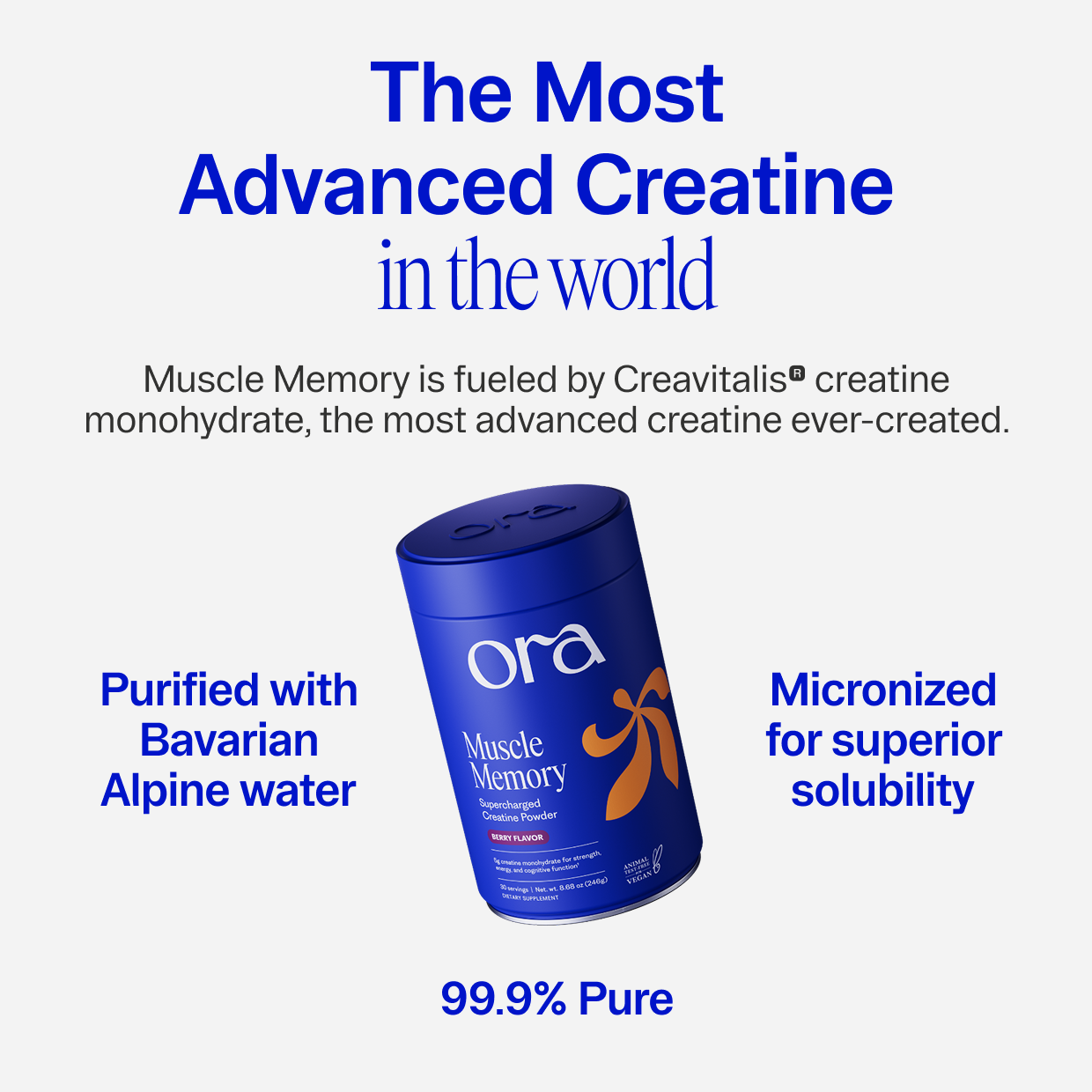 Ora_MuscleMemory_03.png