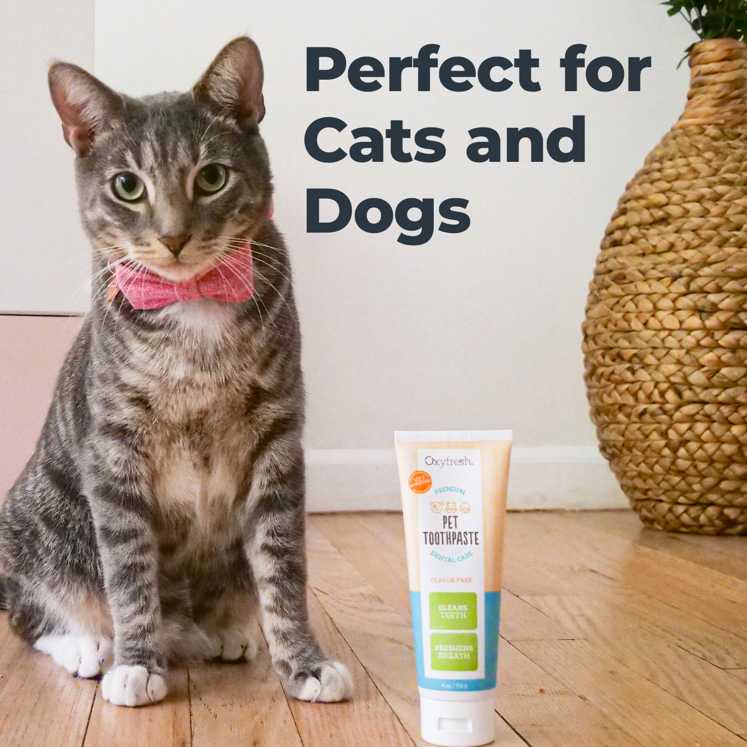 Oxyfresh_Pet_Toothpaste_Kit_4oz_lifestyle4.jpg